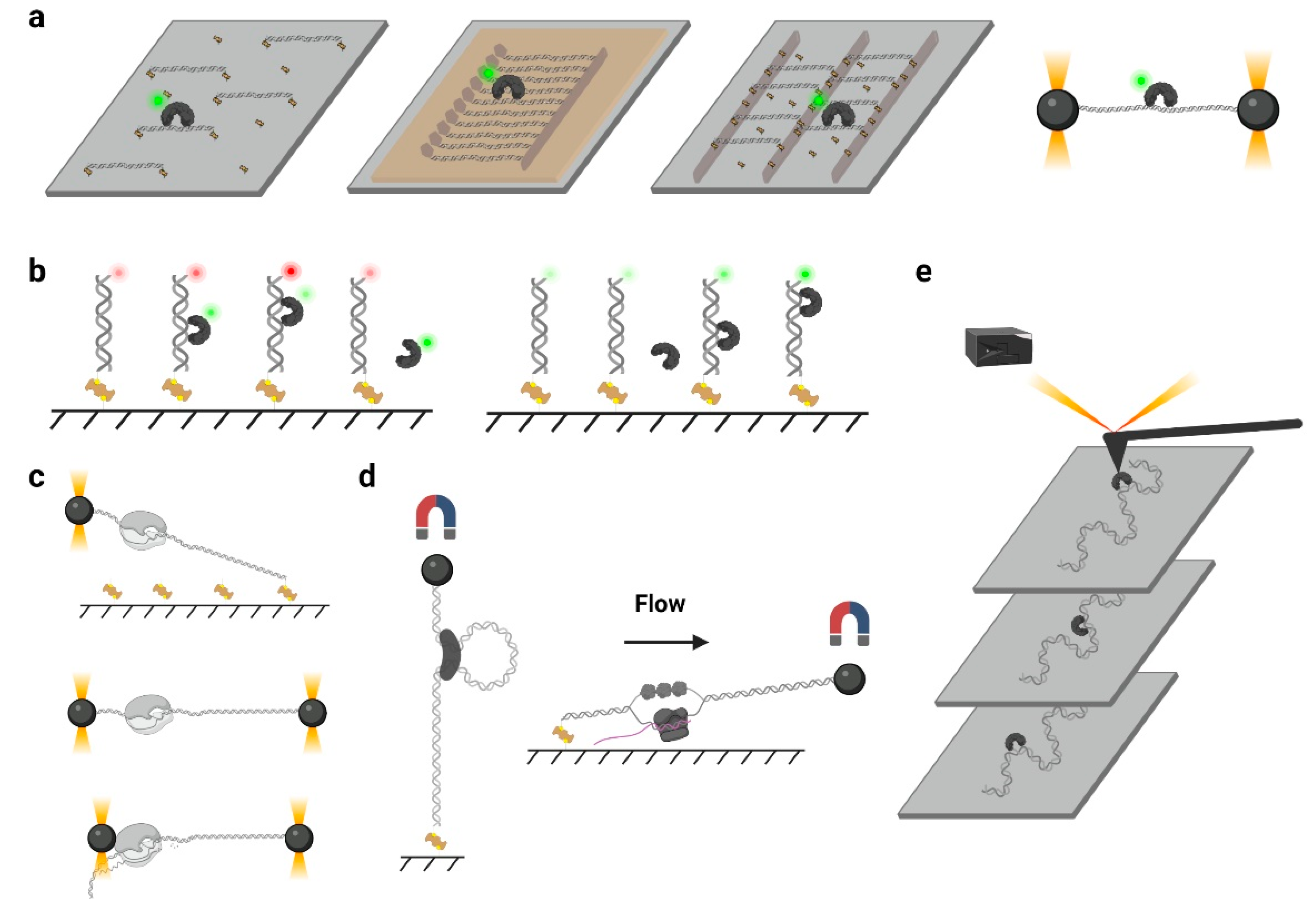 Biomolecules 11 01618 g002 Biomolecules 11 01618 g002