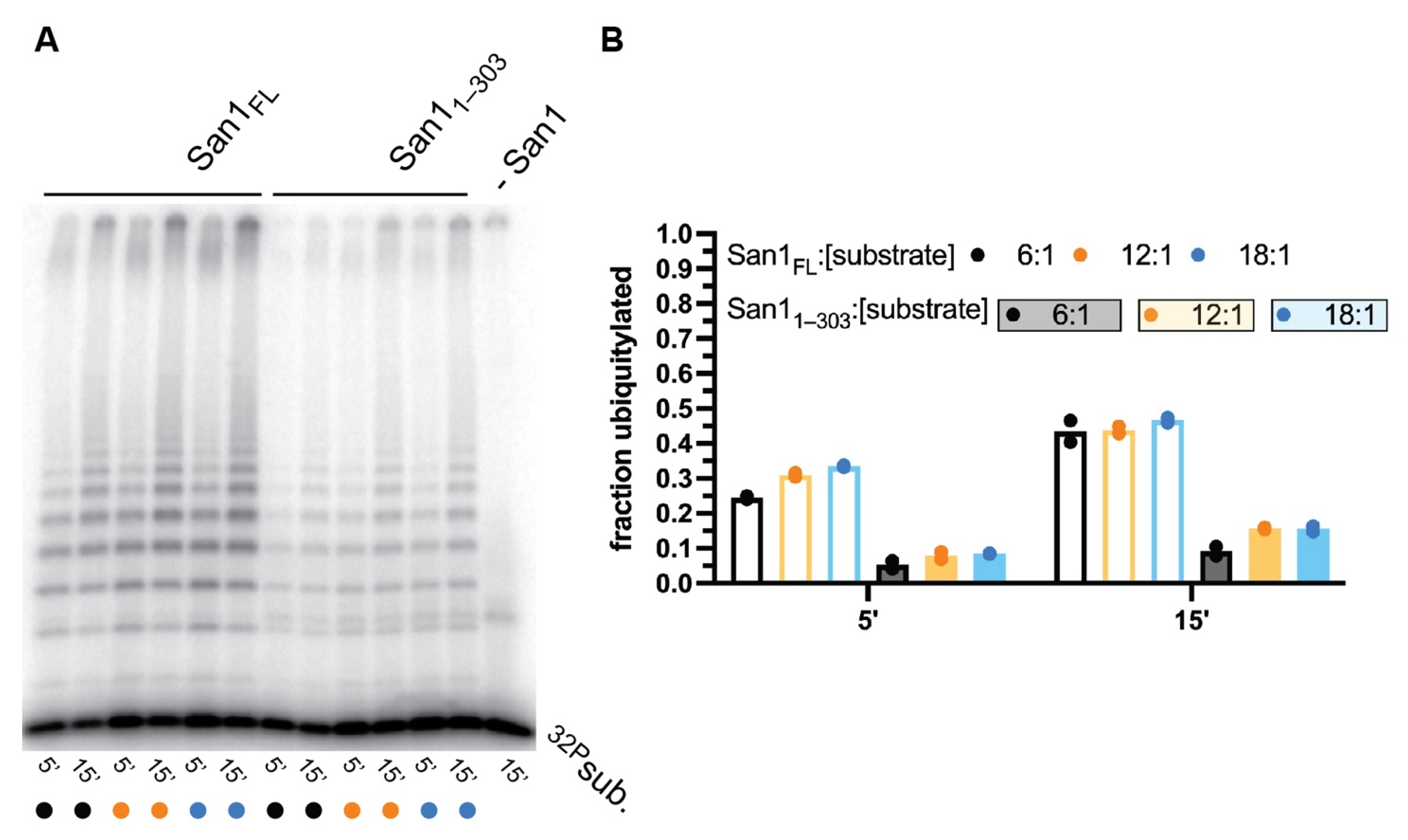 Biomolecules 11 01619 g003 550