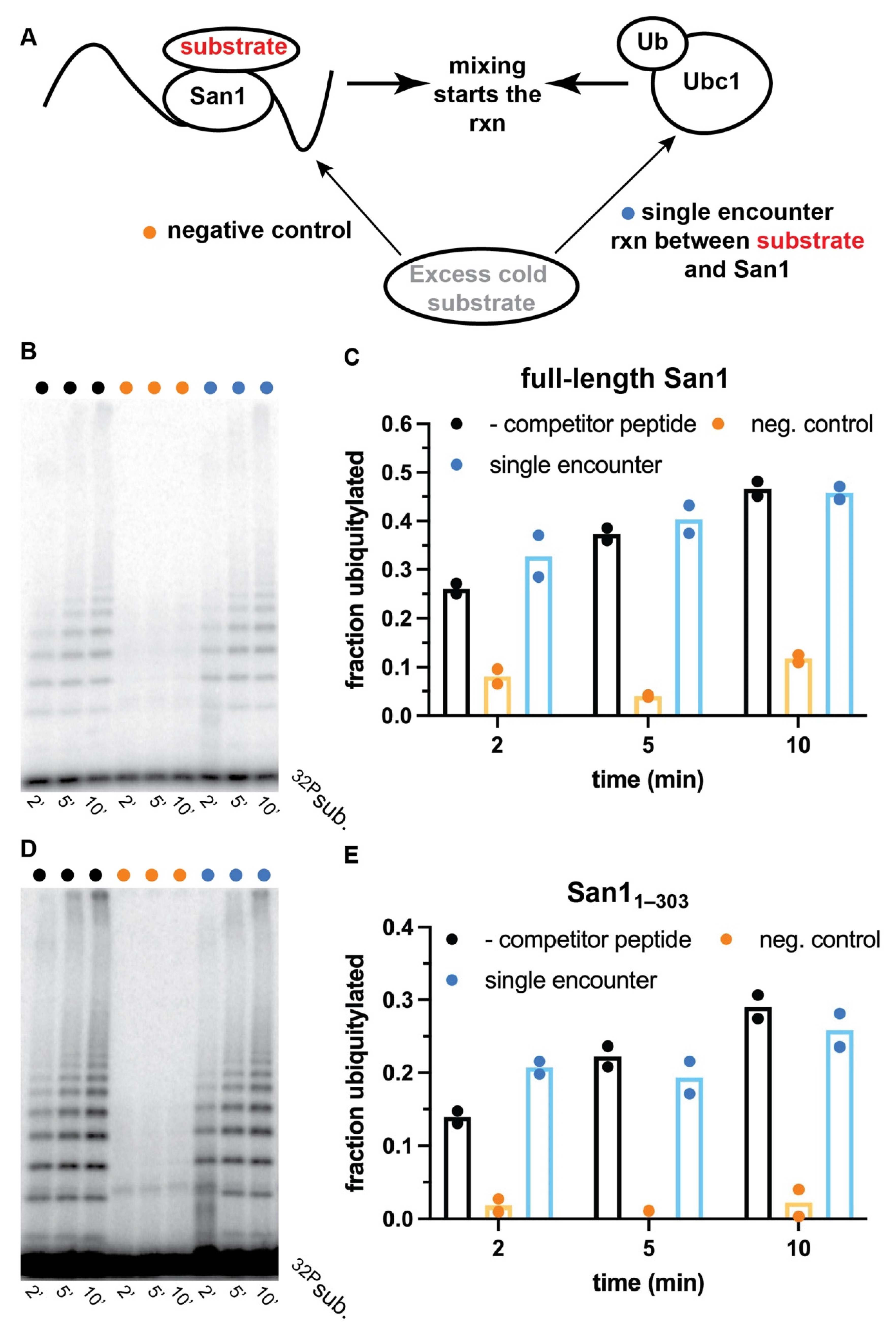 Biomolecules 11 01619 g004 550
