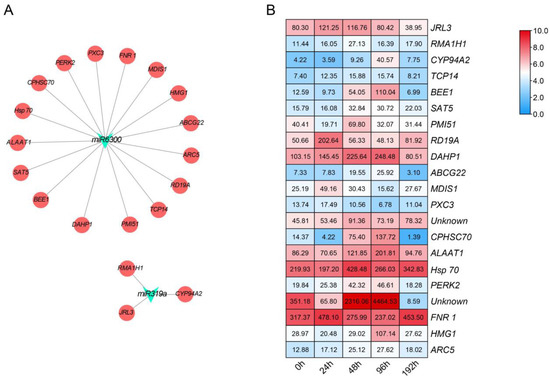 Identification of miRNA-Target Gene Pairs Responsive to