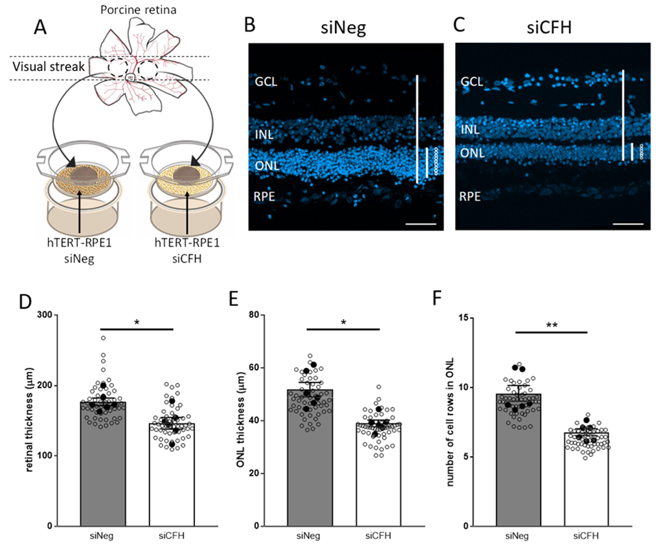 Biomolecules 11 01621 g001 Biomolecules 11 01621 g001