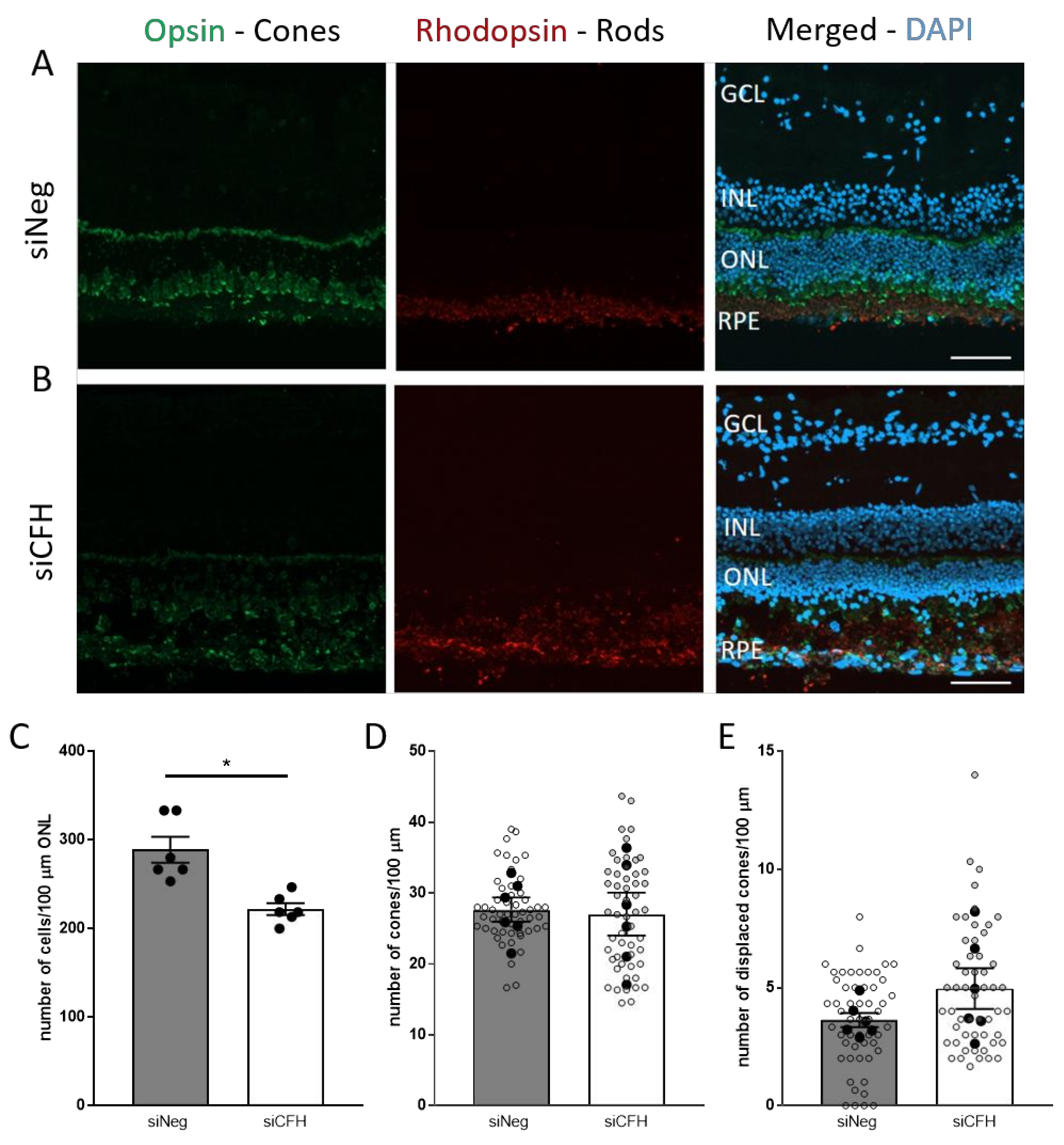 Biomolecules 11 01621 g002 Biomolecules 11 01621 g002