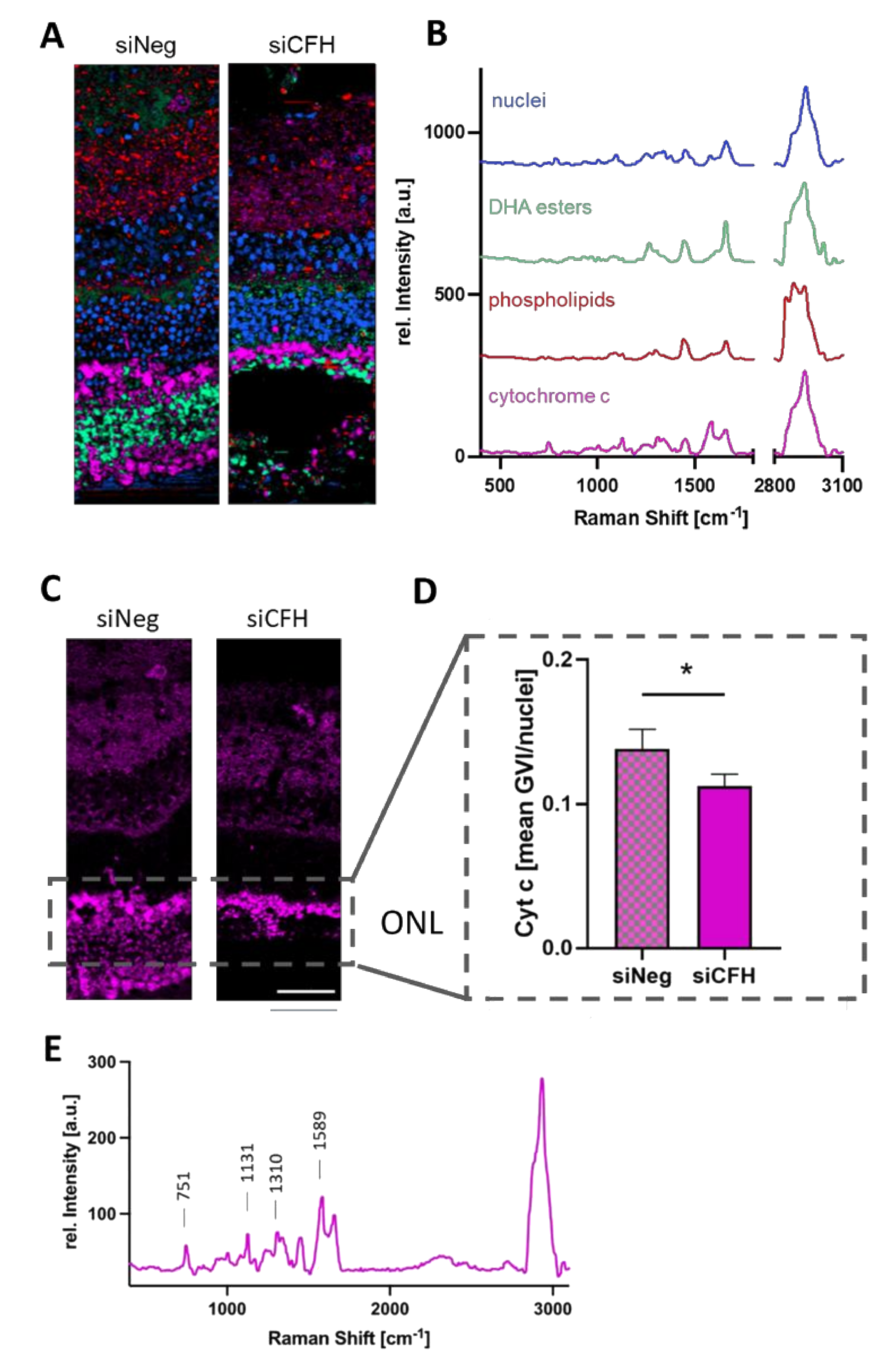 Biomolecules 11 01621 g003 Biomolecules 11 01621 g003