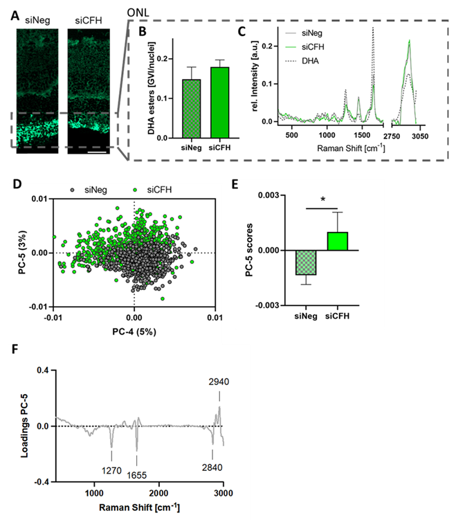 Biomolecules 11 01621 g004 Biomolecules 11 01621 g004