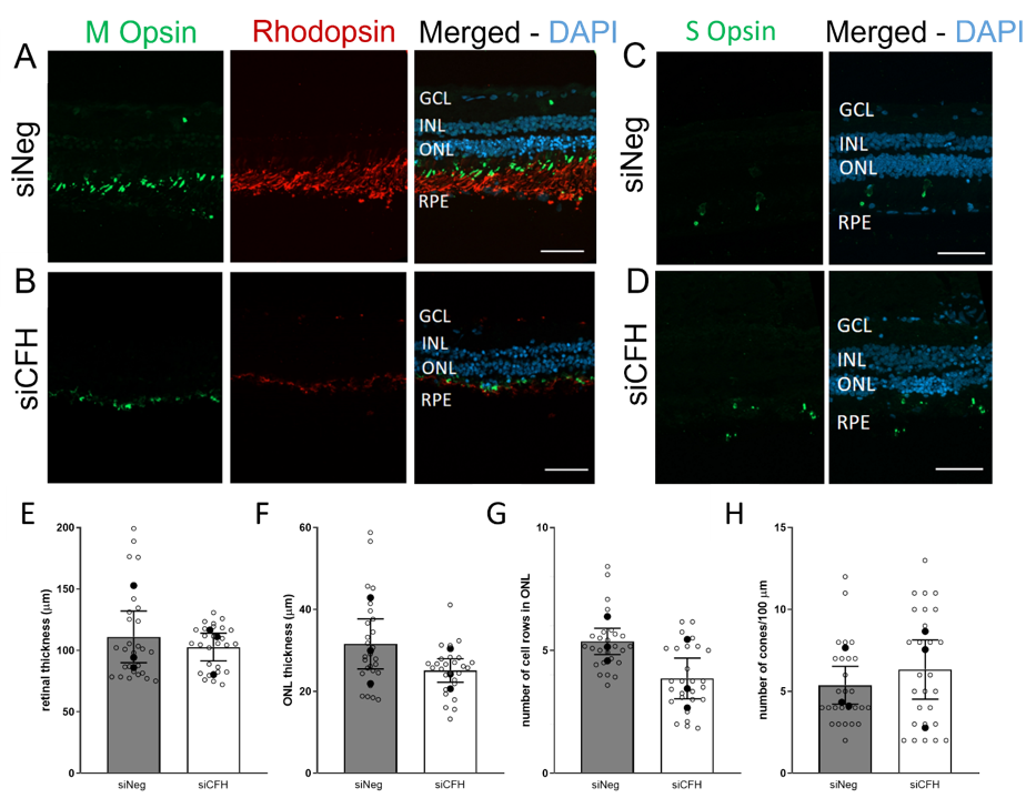 Biomolecules 11 01621 g005 Biomolecules 11 01621 g005