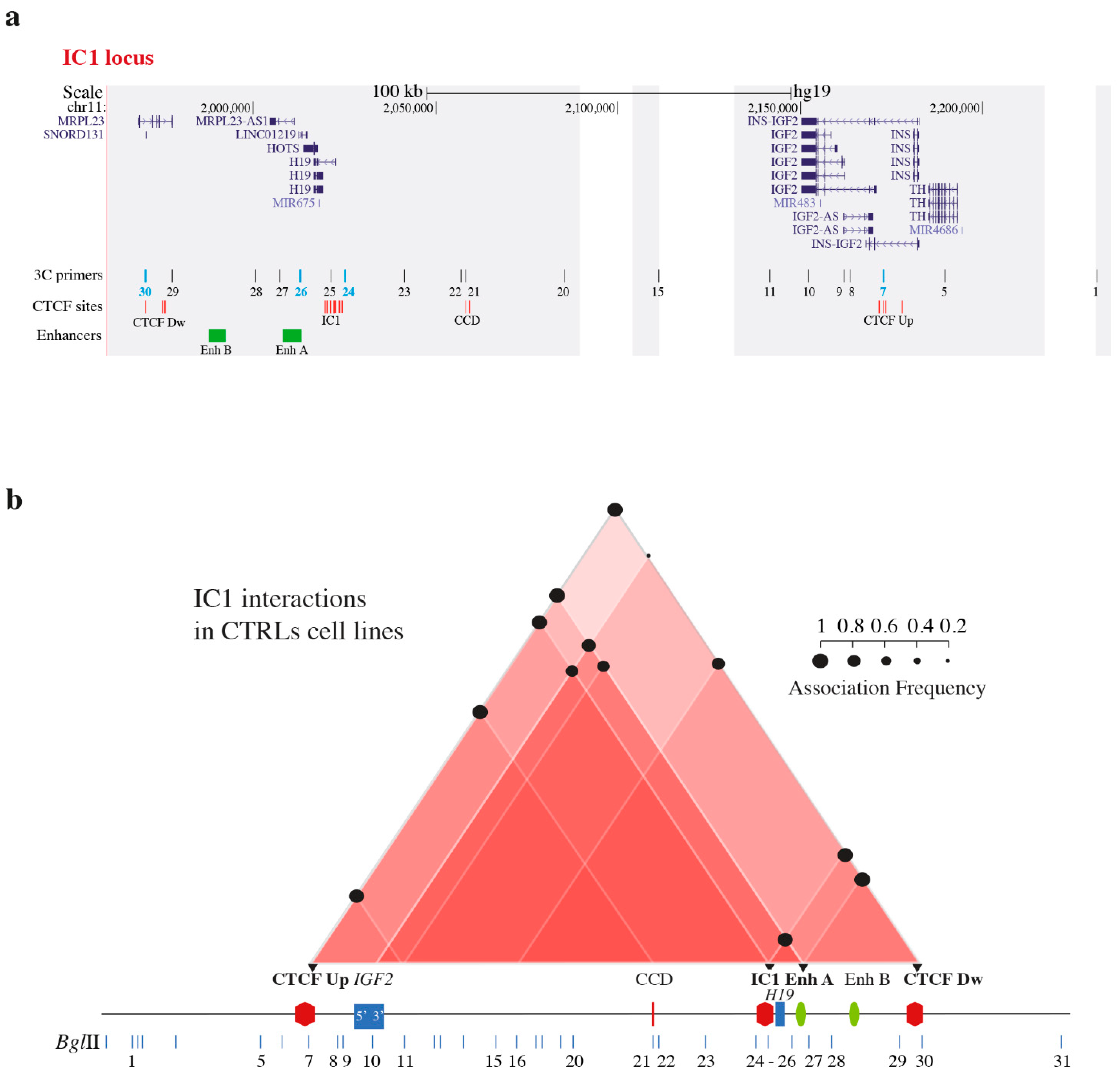 Biomolecules 11 01622 g001