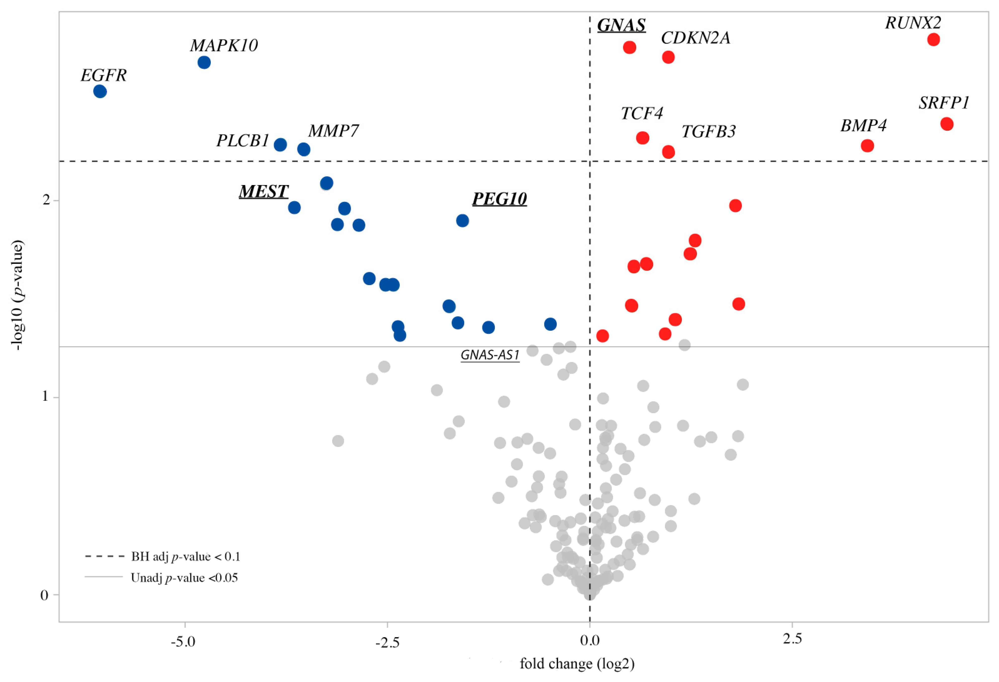 Biomolecules 11 01622 g005