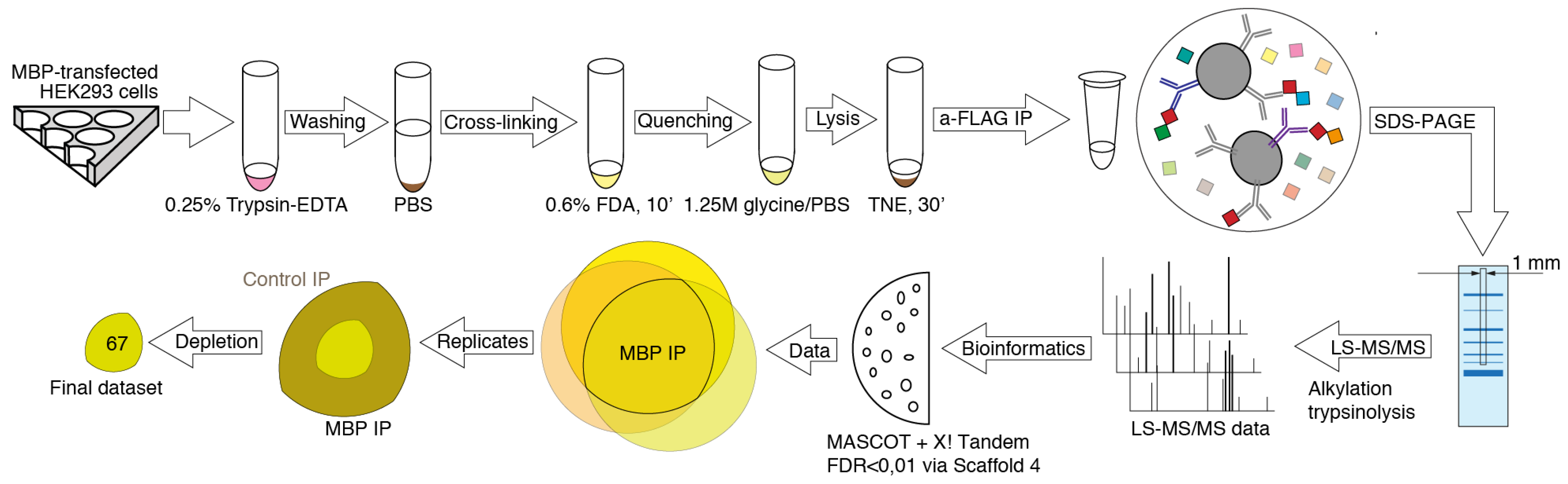 Biomolecules 11 01628 g001