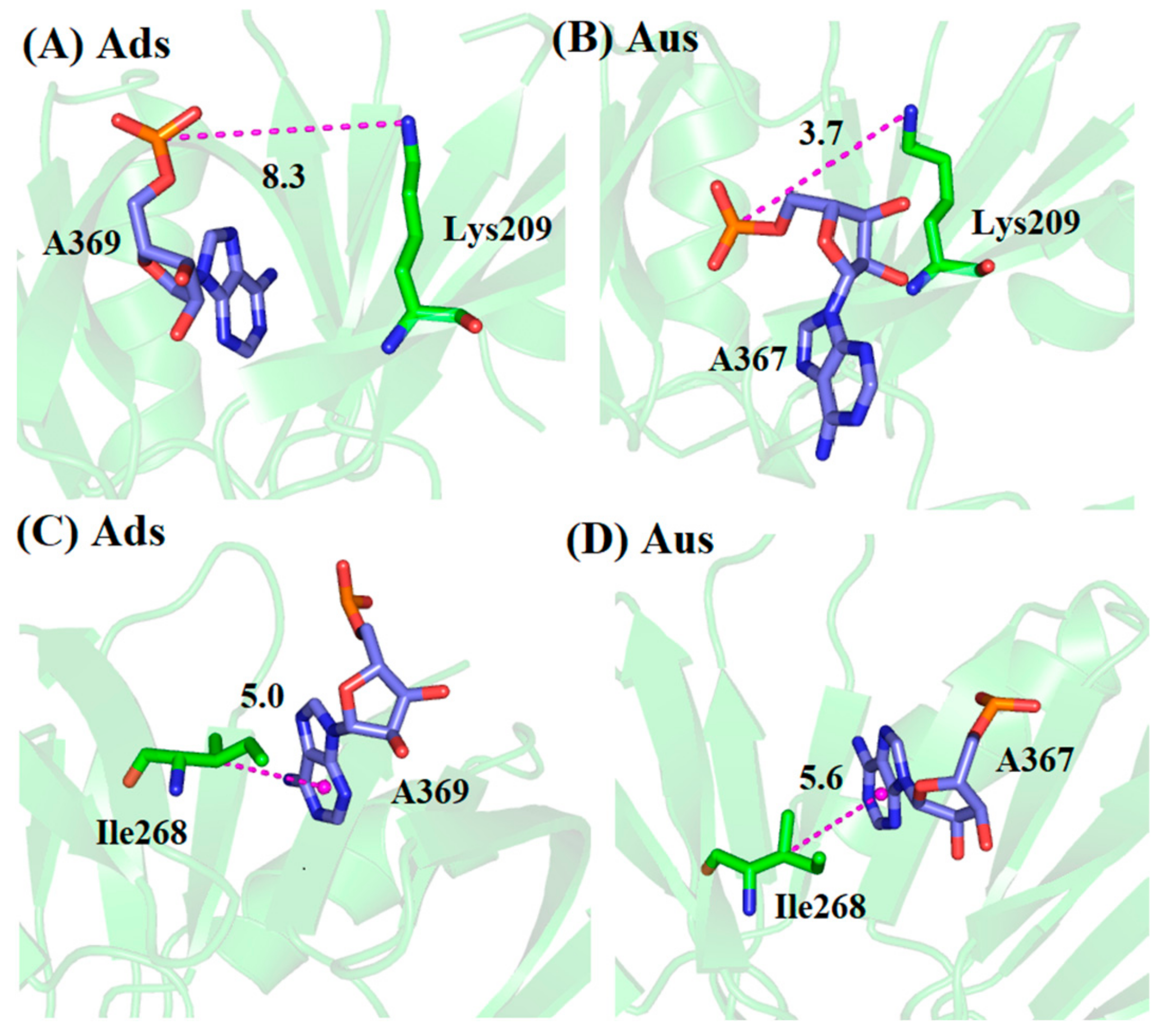 Biomolecules 11 01653 g003