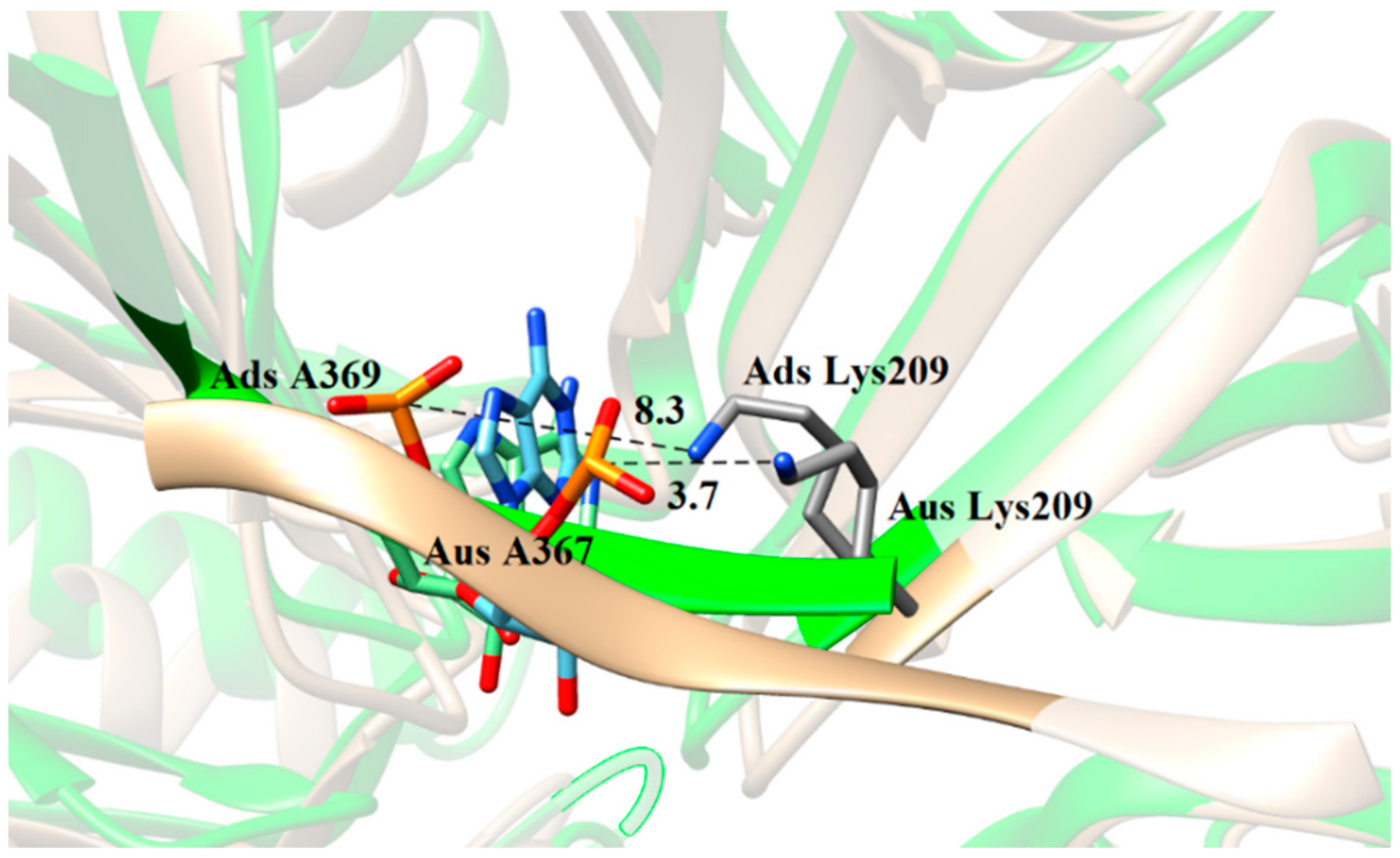 Biomolecules 11 01653 g005
