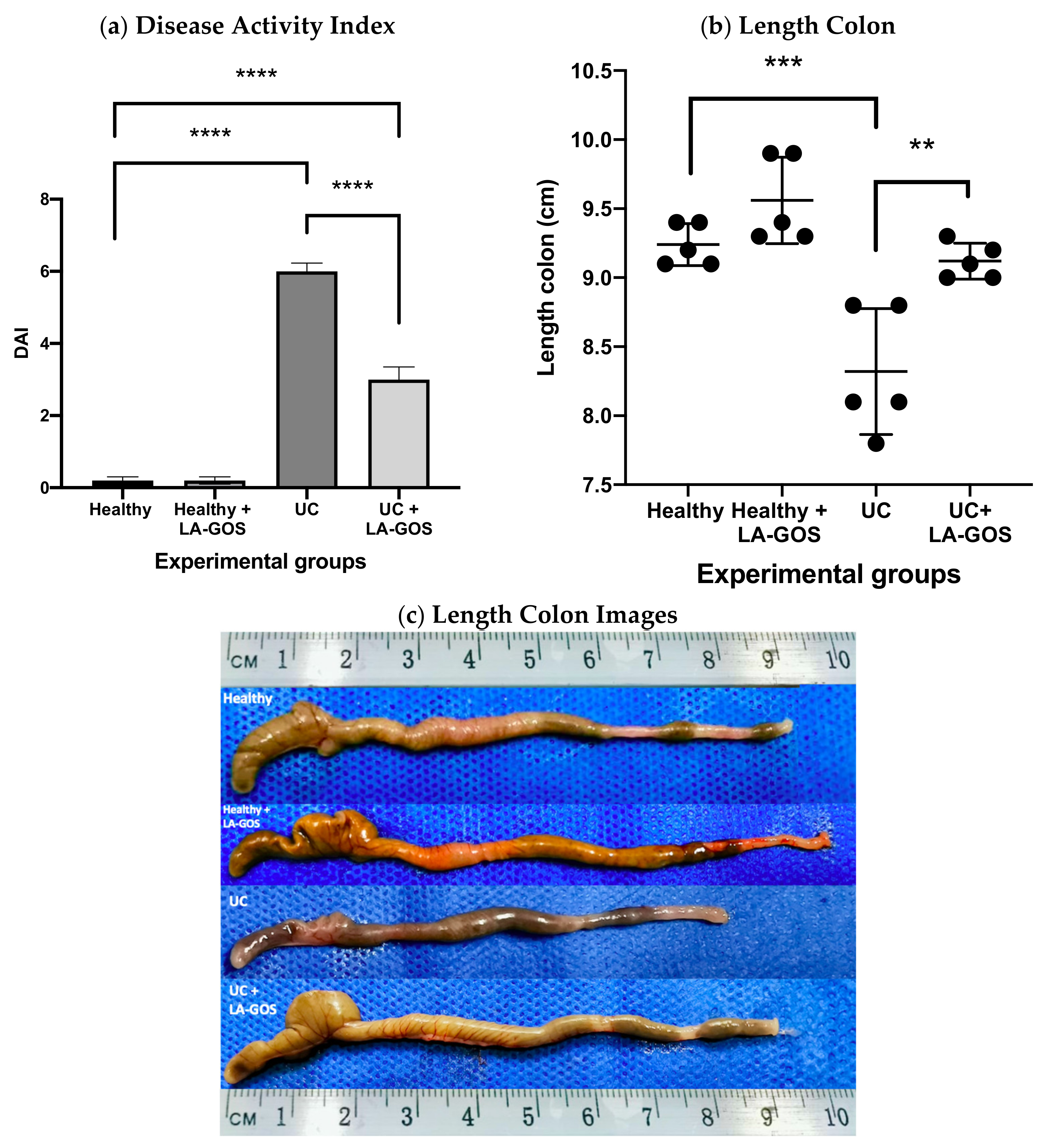Biomolecules 11 01658 g001 Biomolecules 11 01658 g001