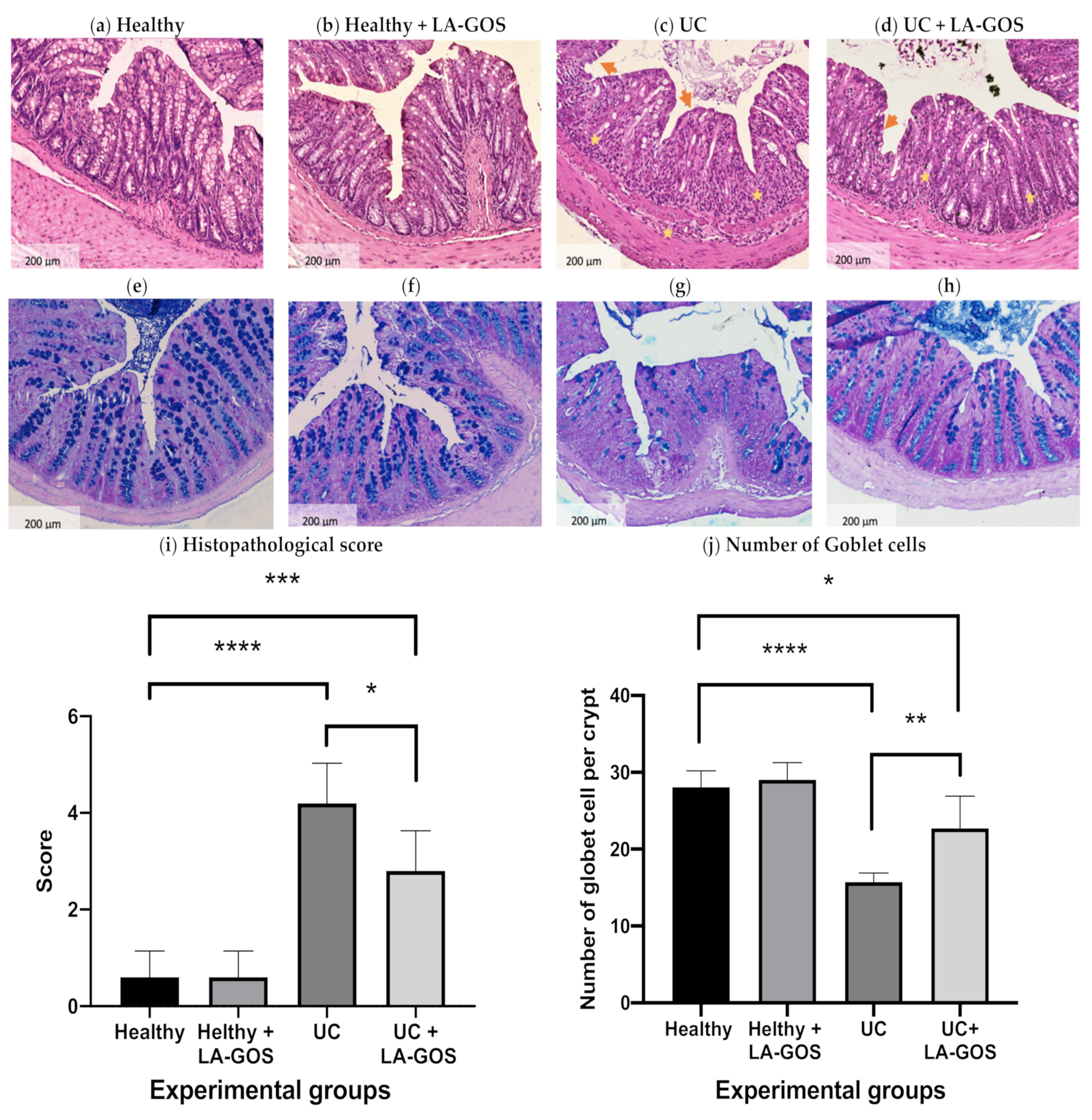 Biomolecules 11 01658 g002 Biomolecules 11 01658 g002