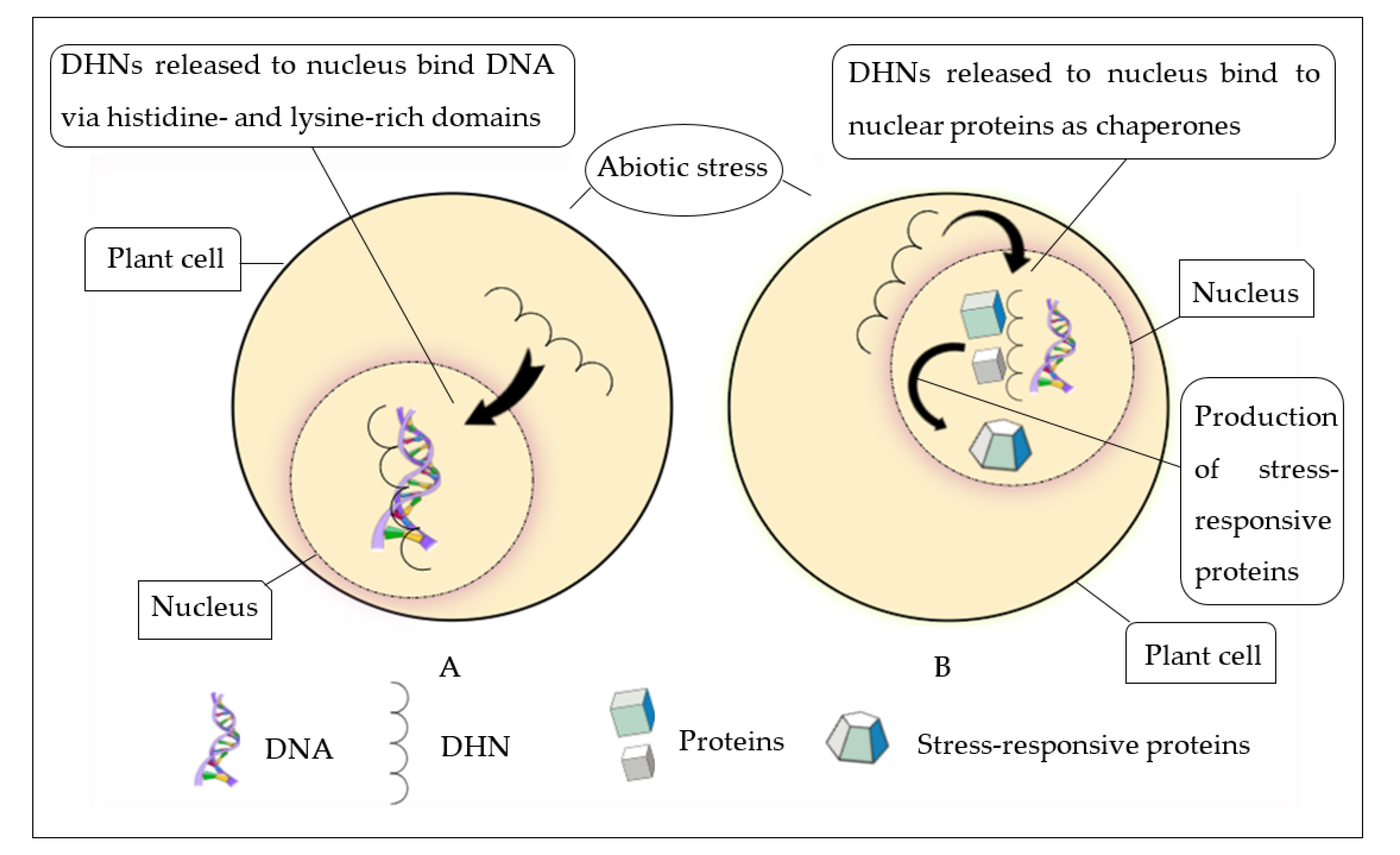 Biomolecules 11 01662 g003
