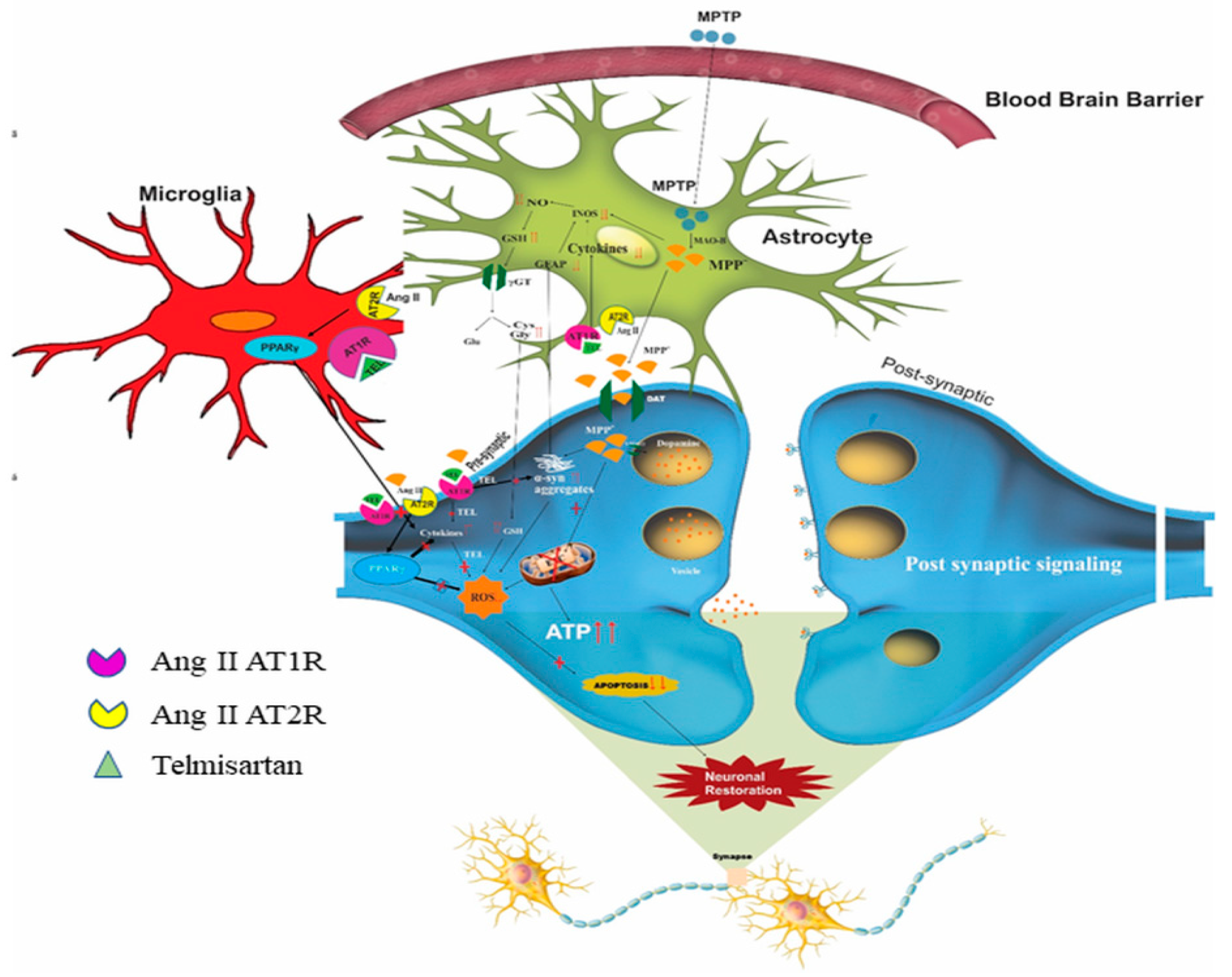 Biomolecules 11 01669 g003