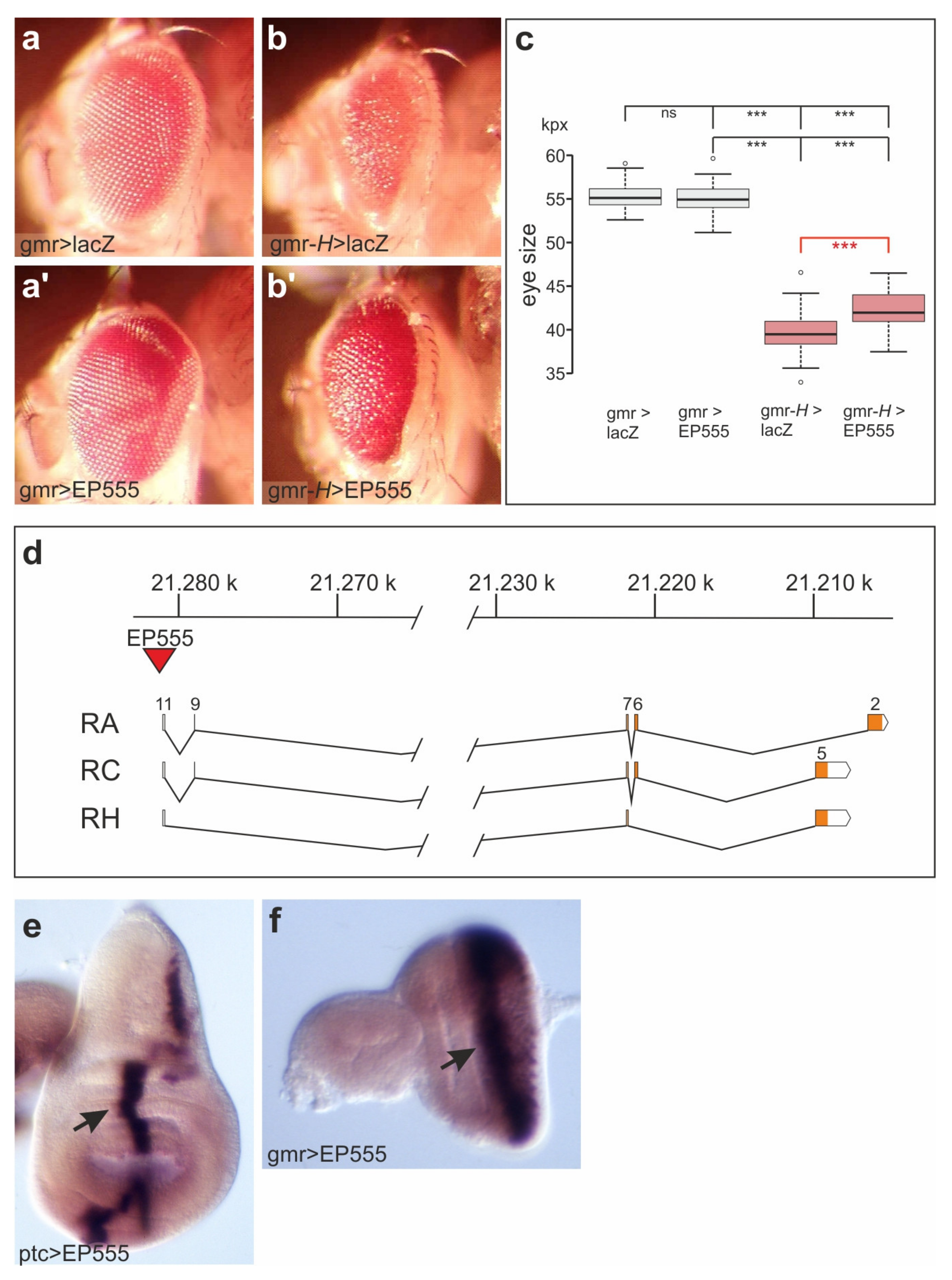 Biomolecules 11 01672 g001