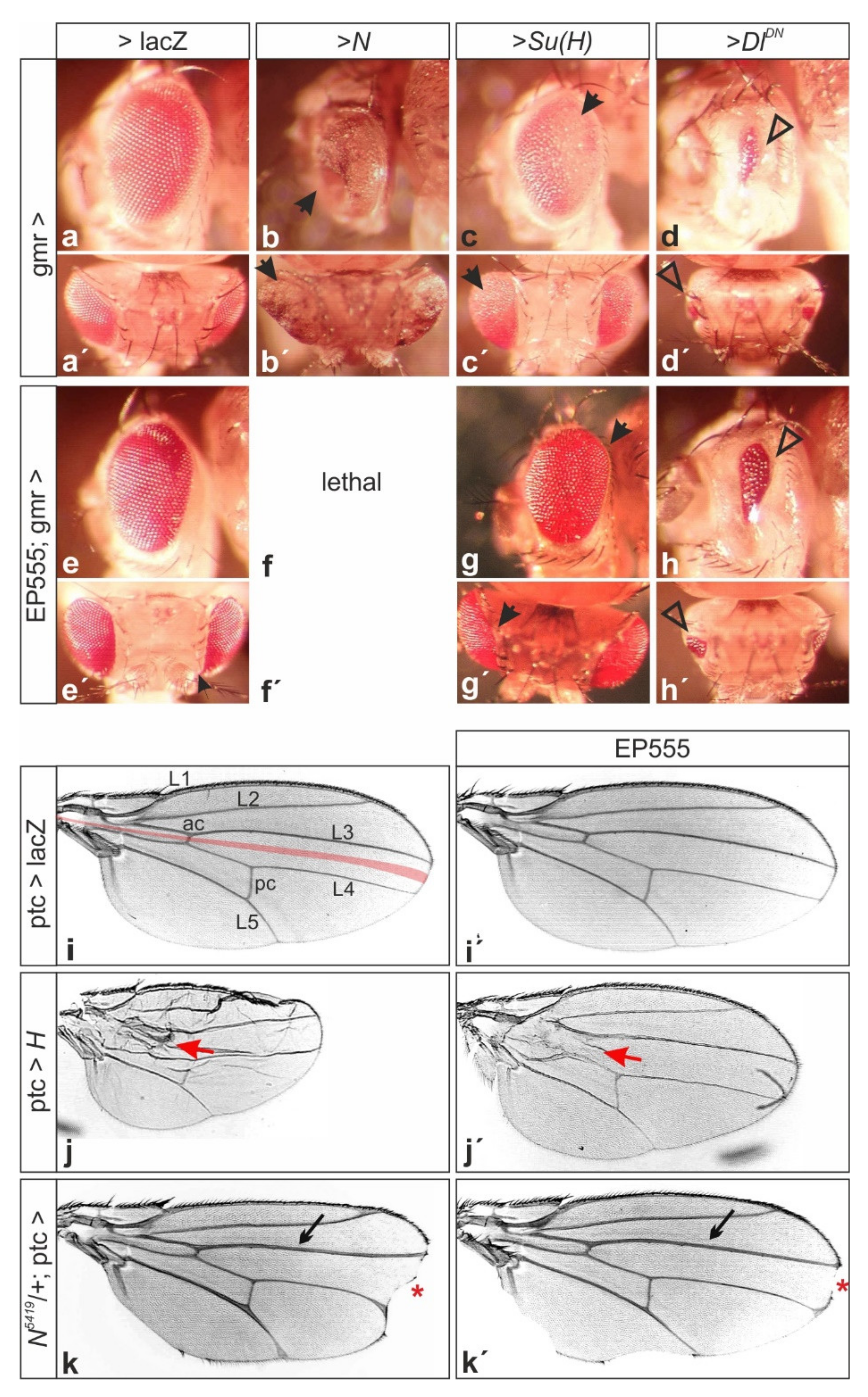 Biomolecules 11 01672 g002