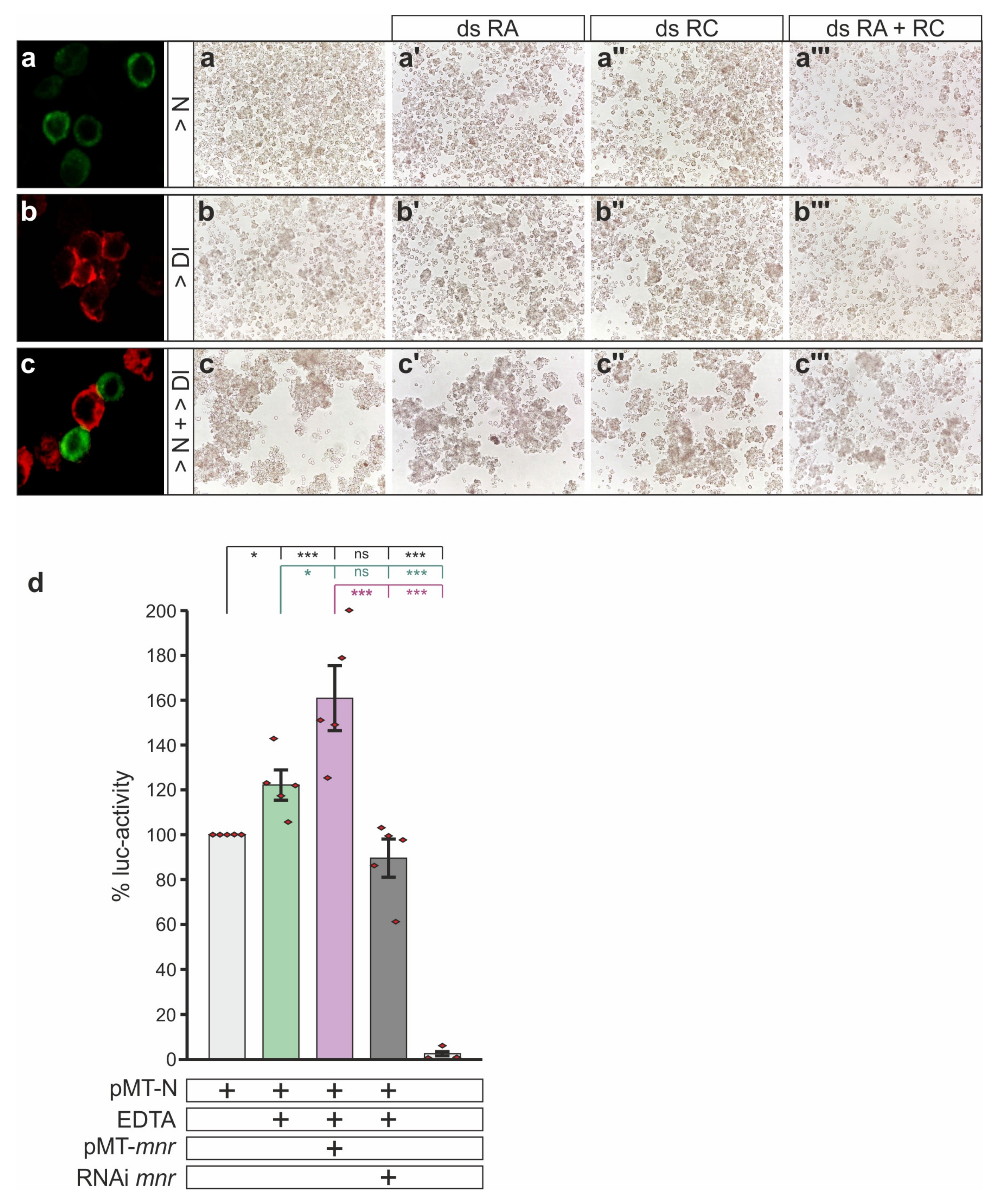 Biomolecules 11 01672 g007