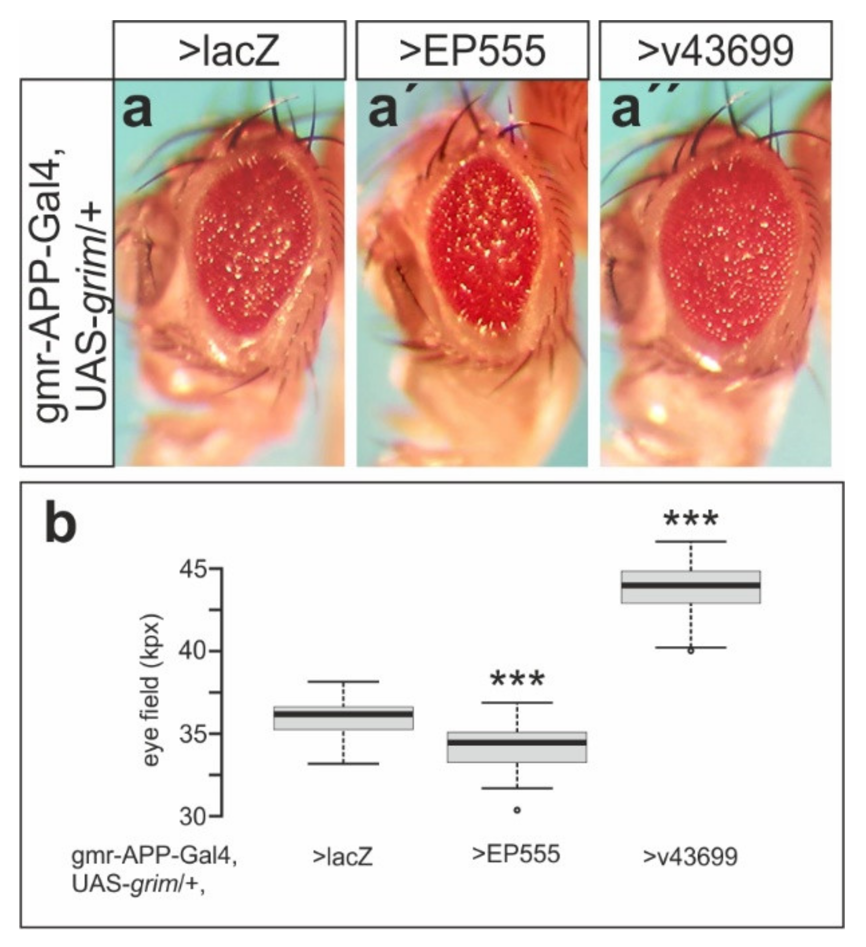 Biomolecules 11 01672 g008