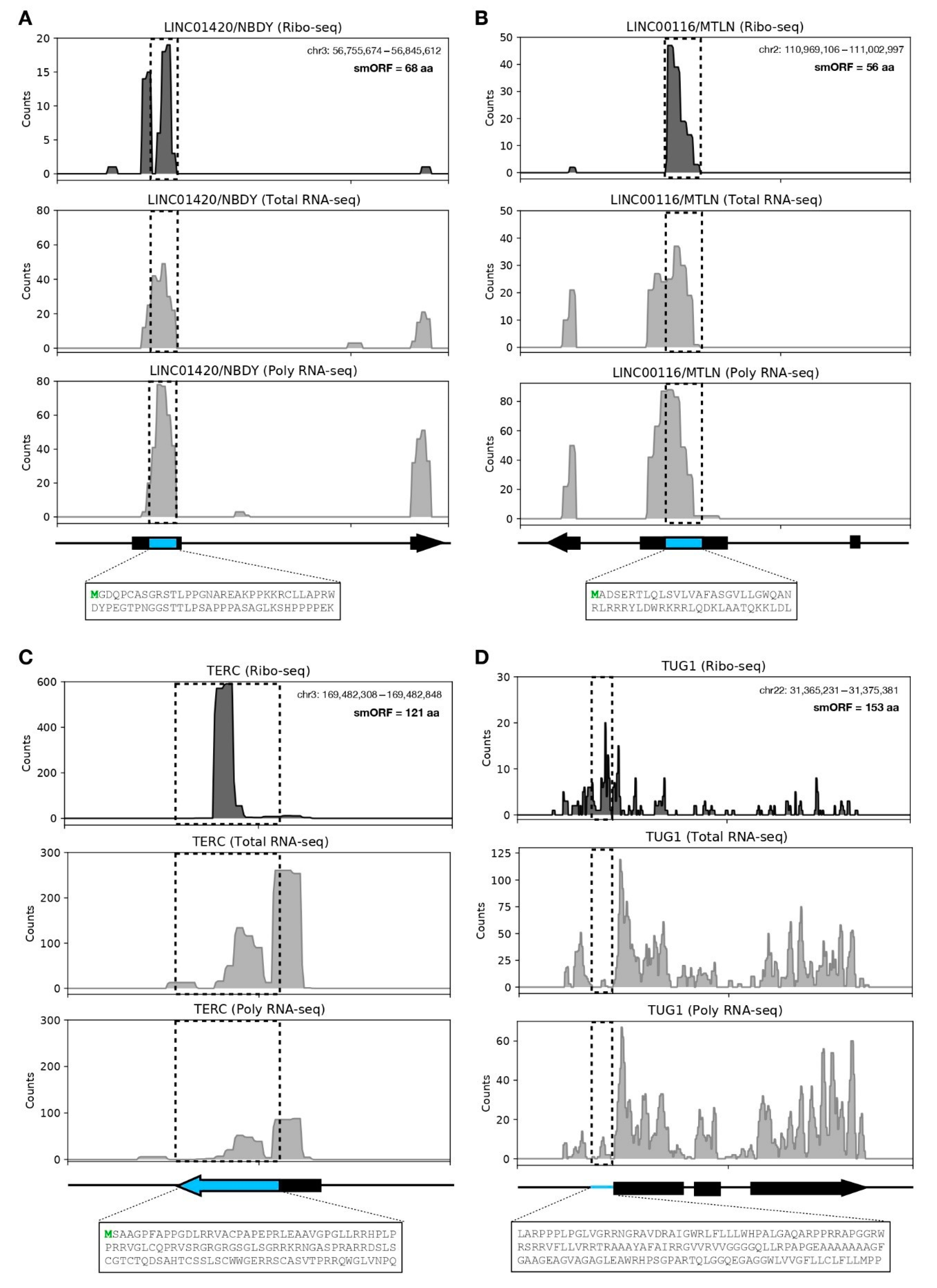 Biomolecules 11 01673 g003