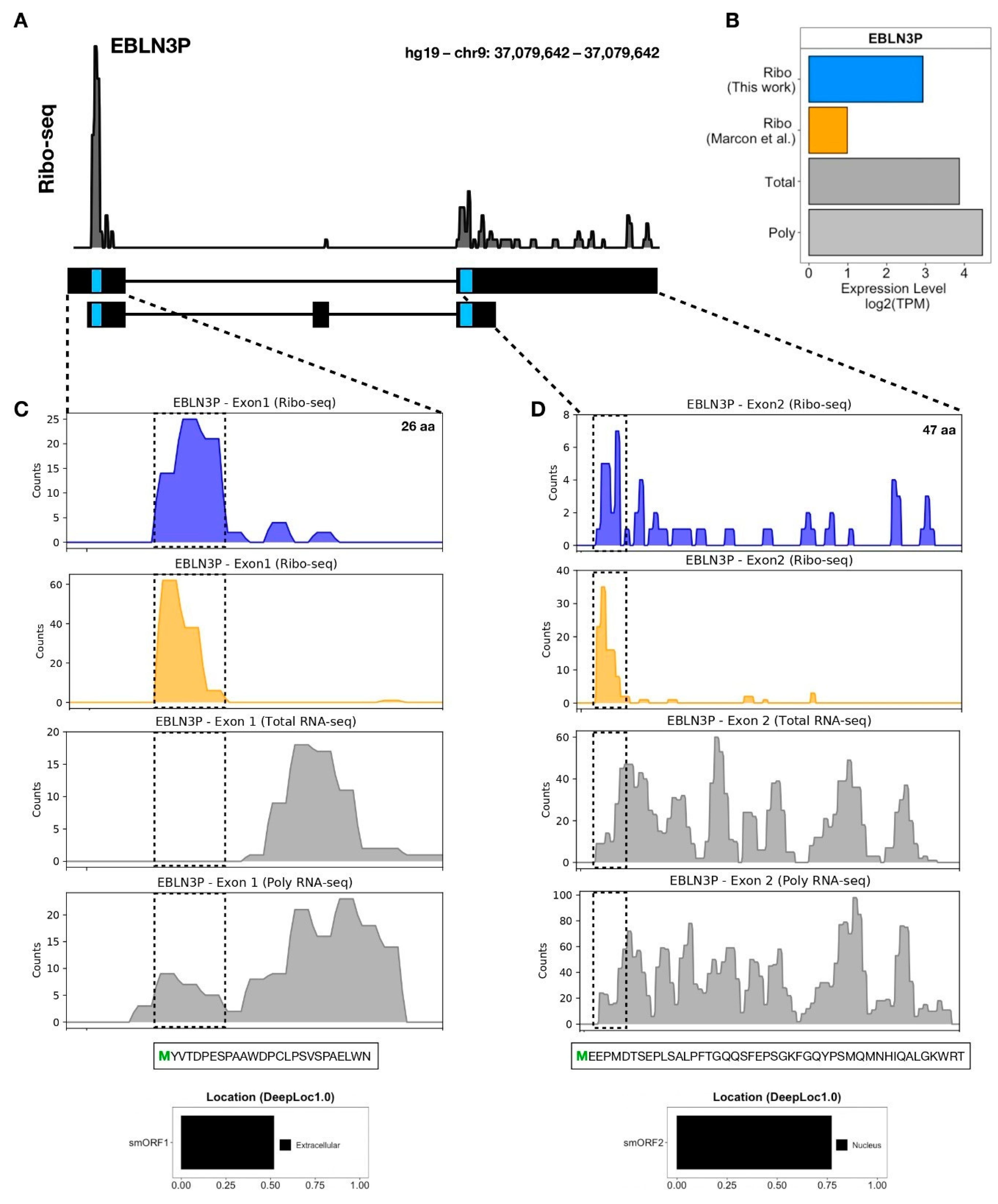 Biomolecules 11 01673 g004