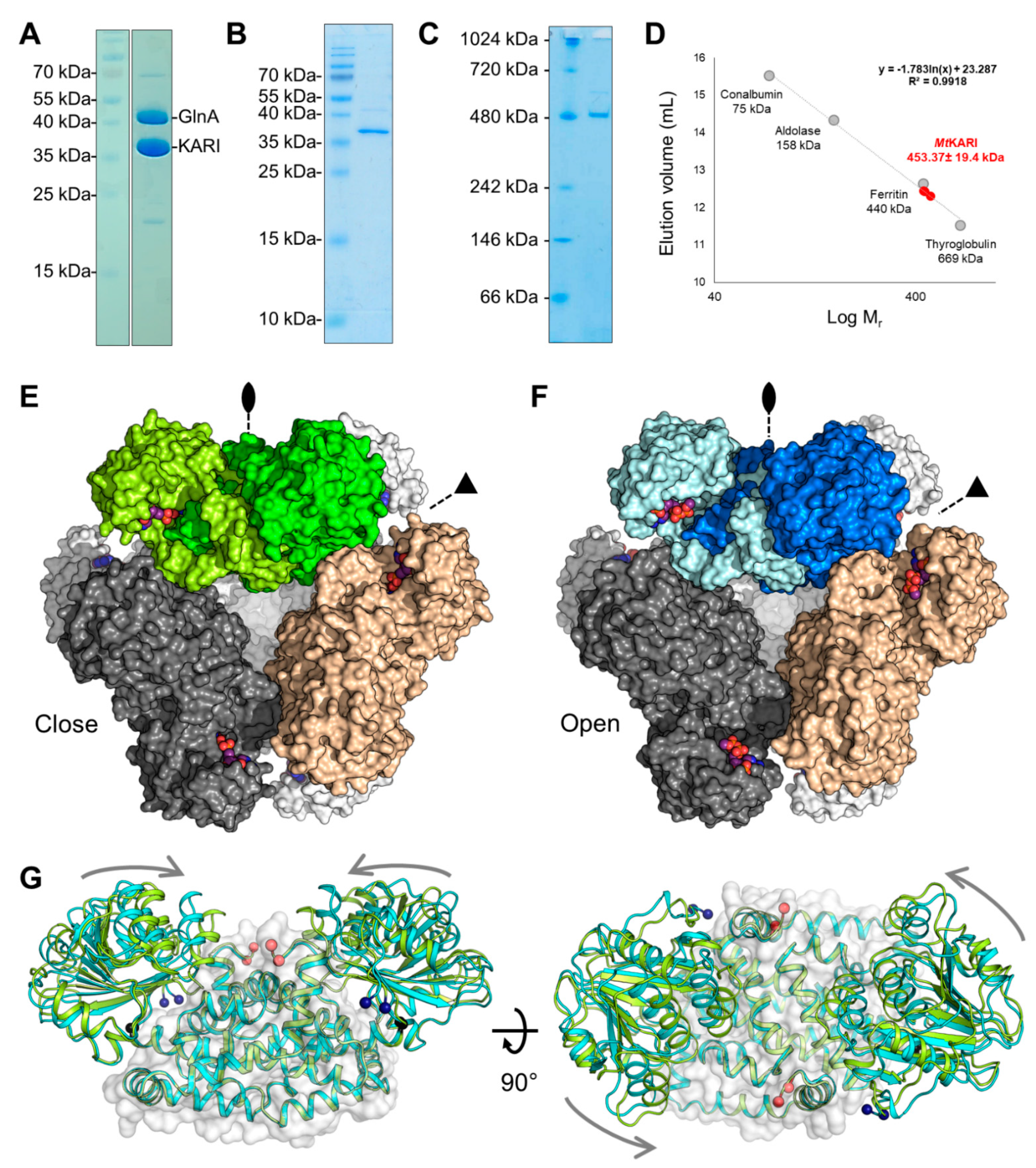 Biomolecules 11 01679 g001 550