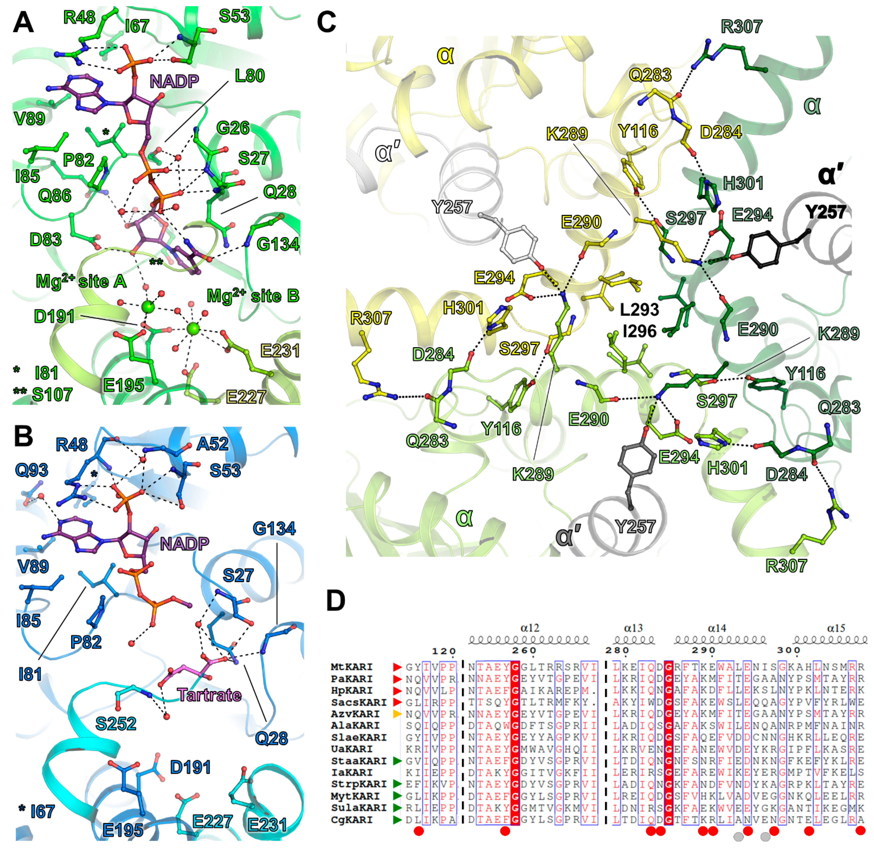 Biomolecules 11 01679 g002 550