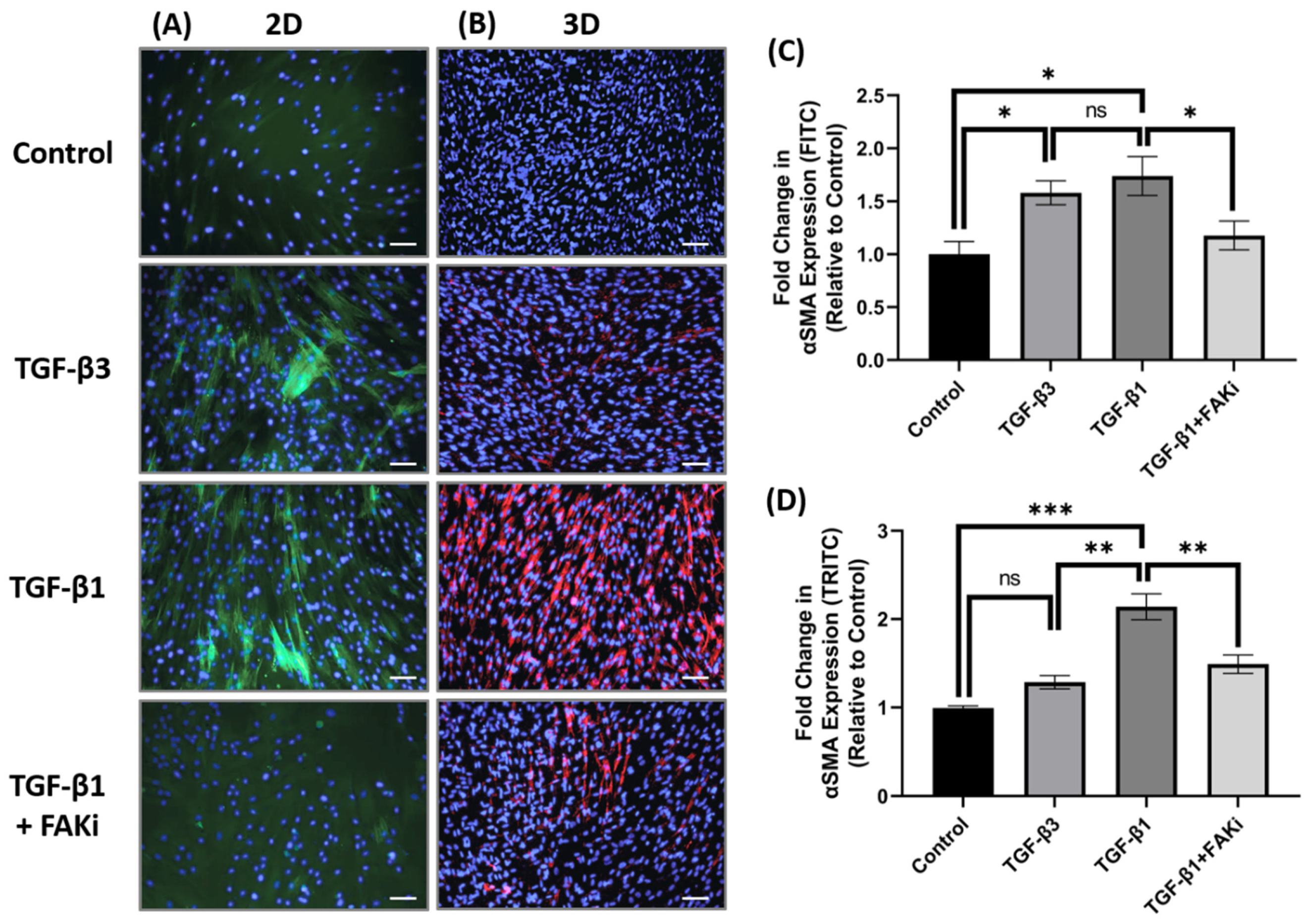 Biomolecules 11 01682 g003 550