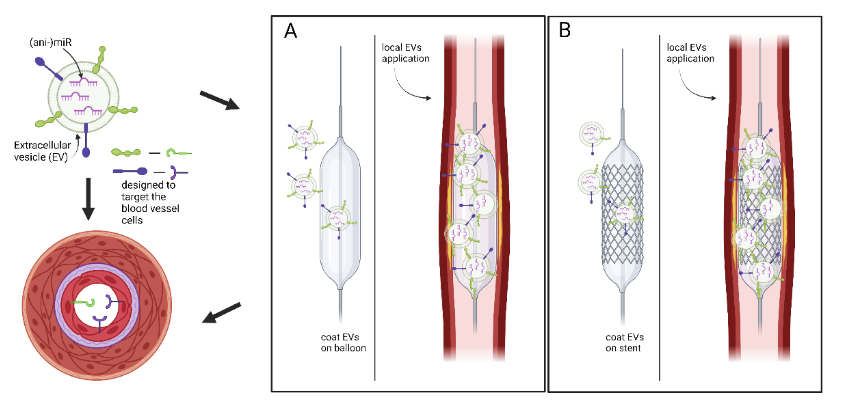 Biomolecules 11 01683 g003