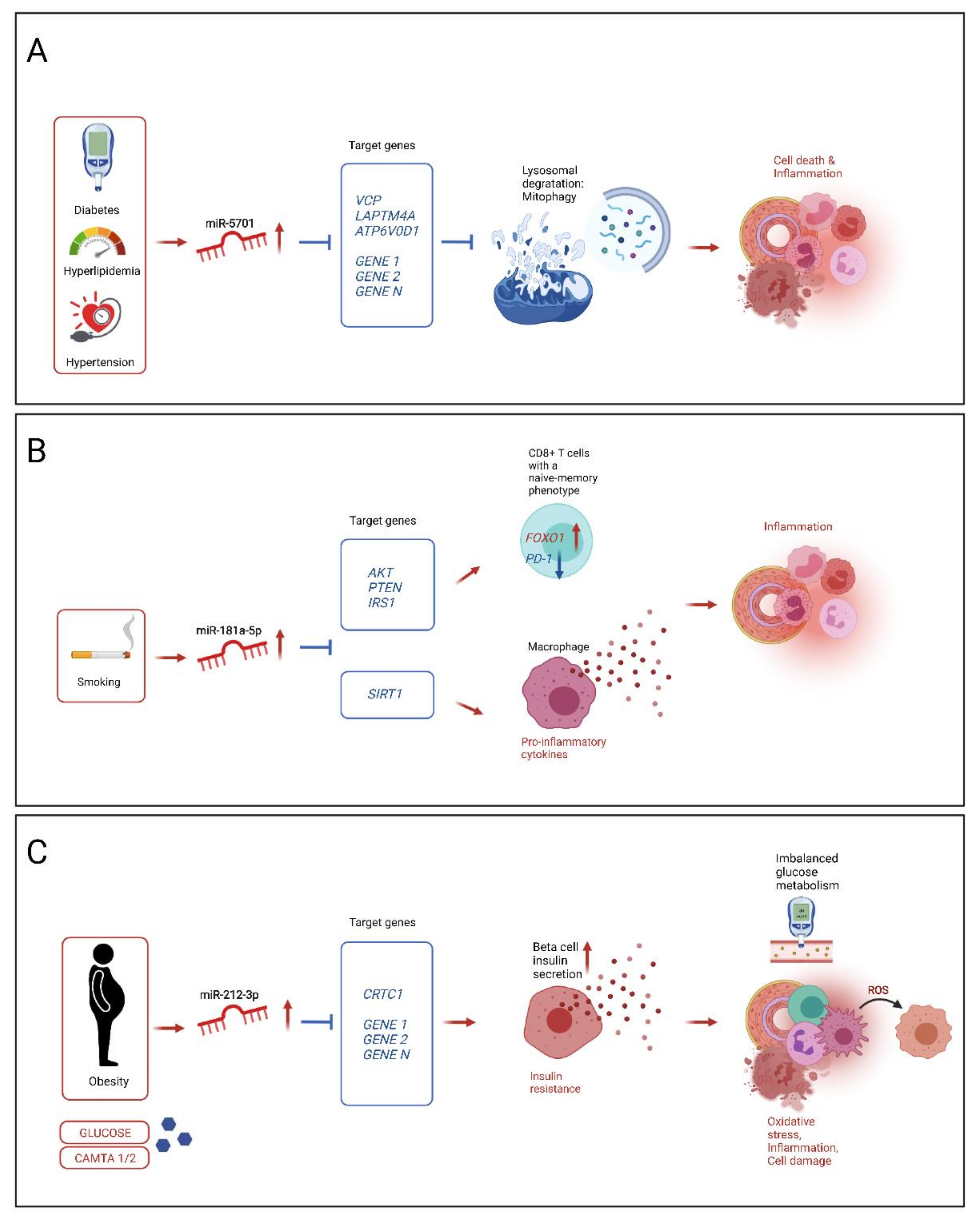 Biomolecules 11 01683 g004