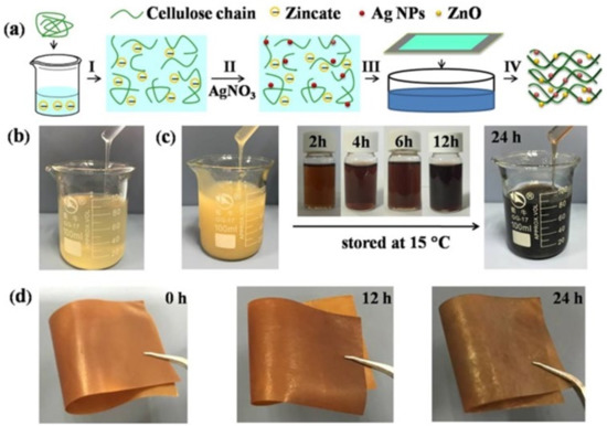 Cellulose–Silver Composites Materials: Preparation and Applications