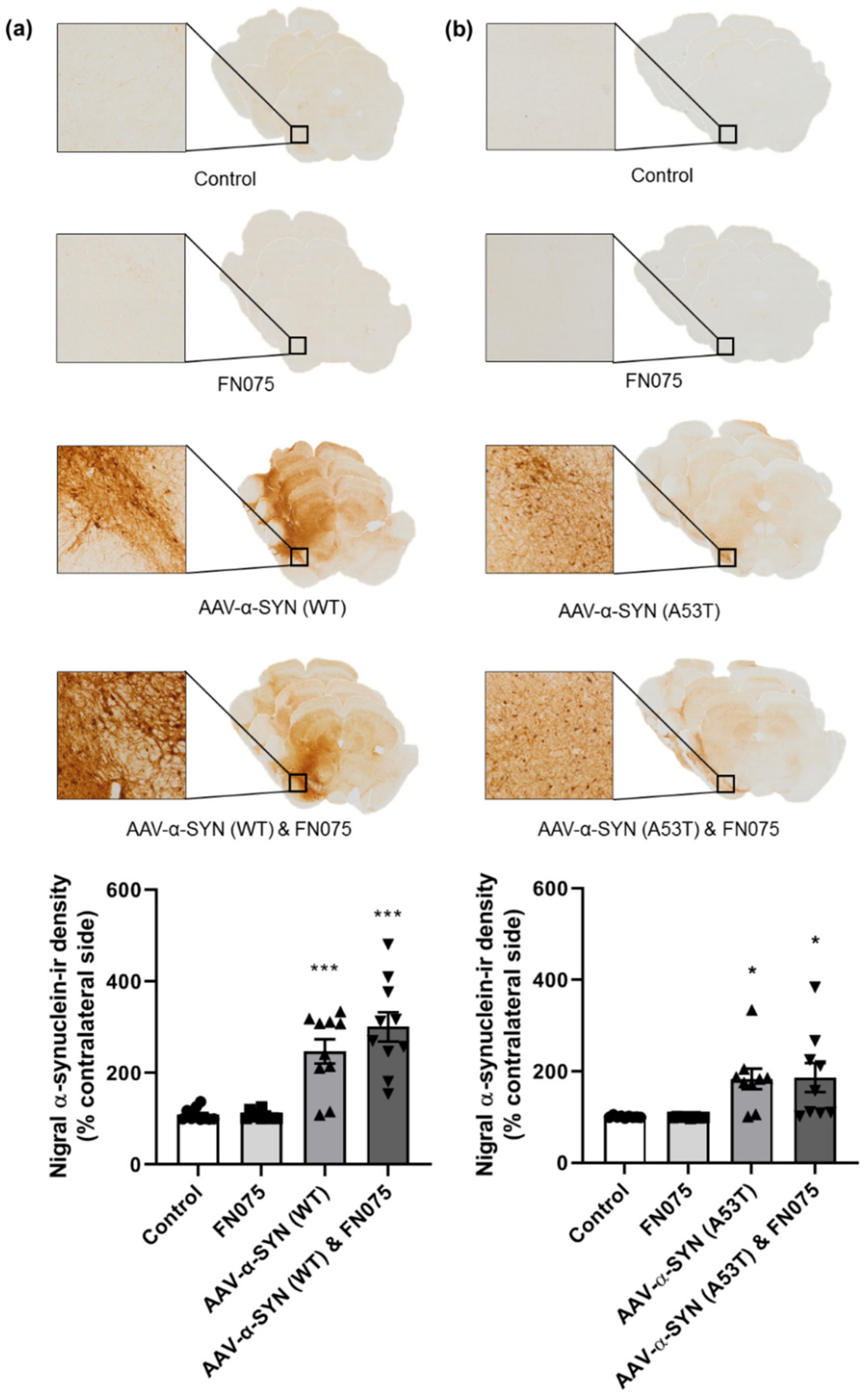 Biomolecules 11 01685 g001