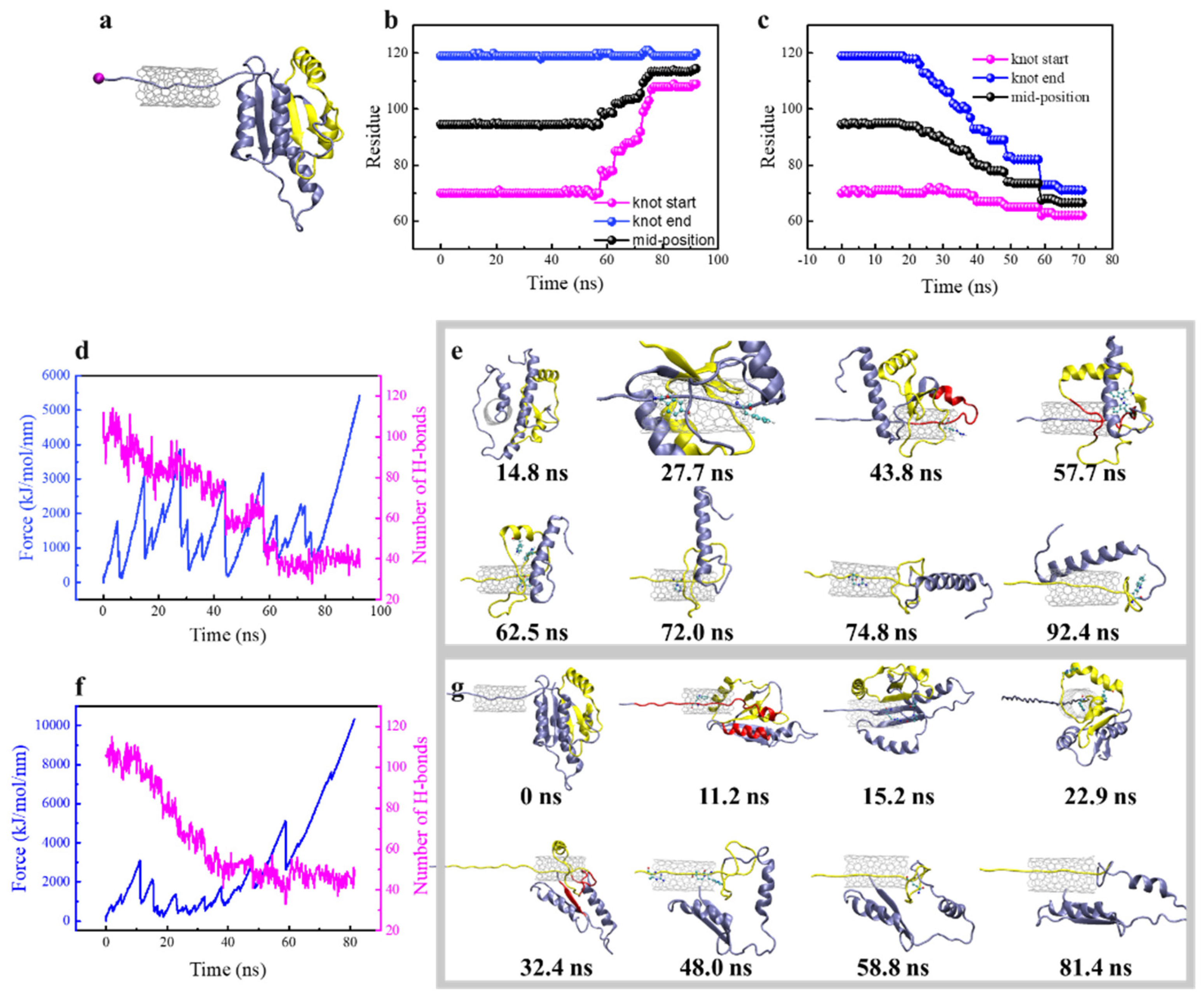 Biomolecules 11 01688 g004