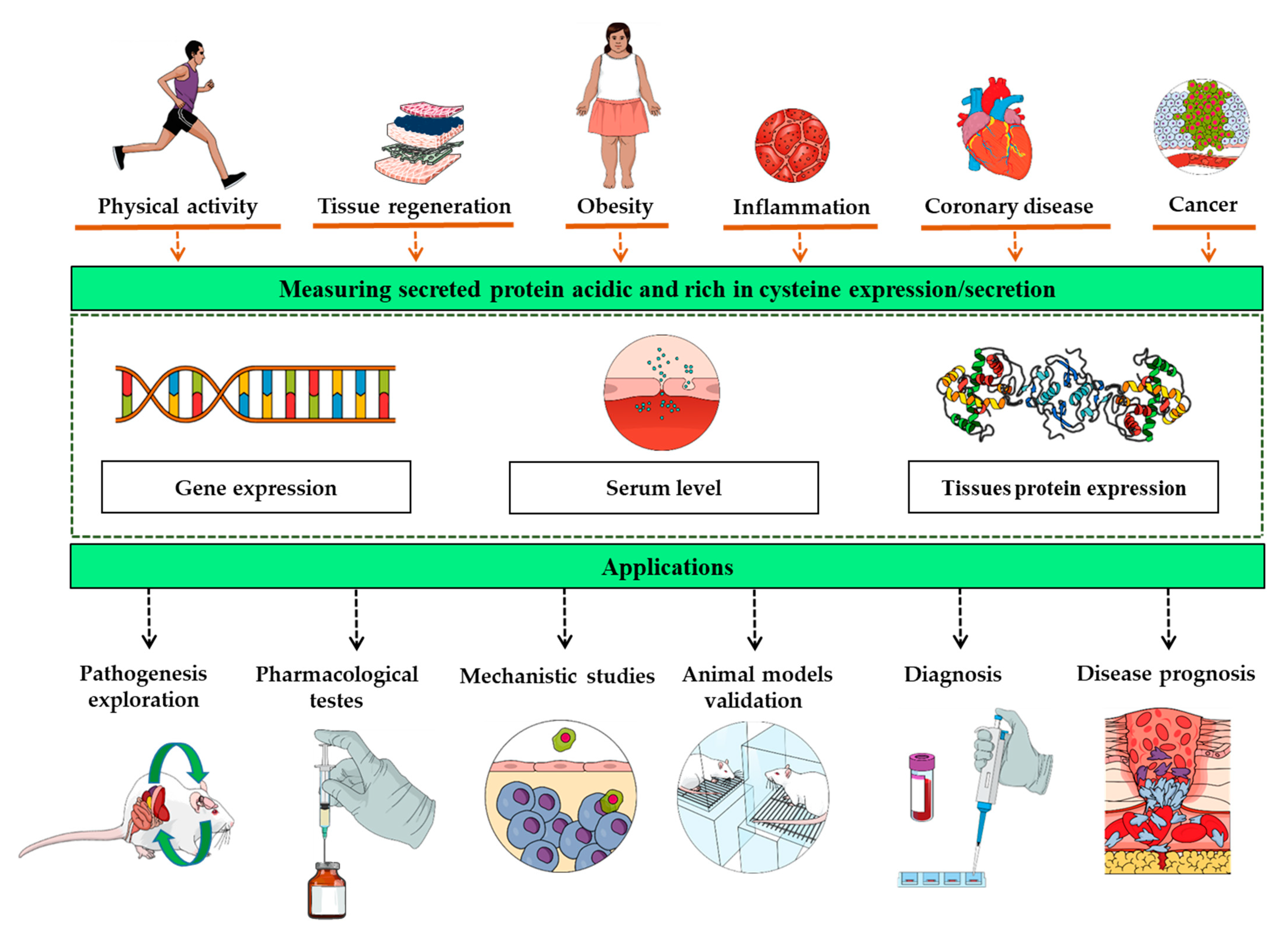 Biomolecules 11 01689 g001
