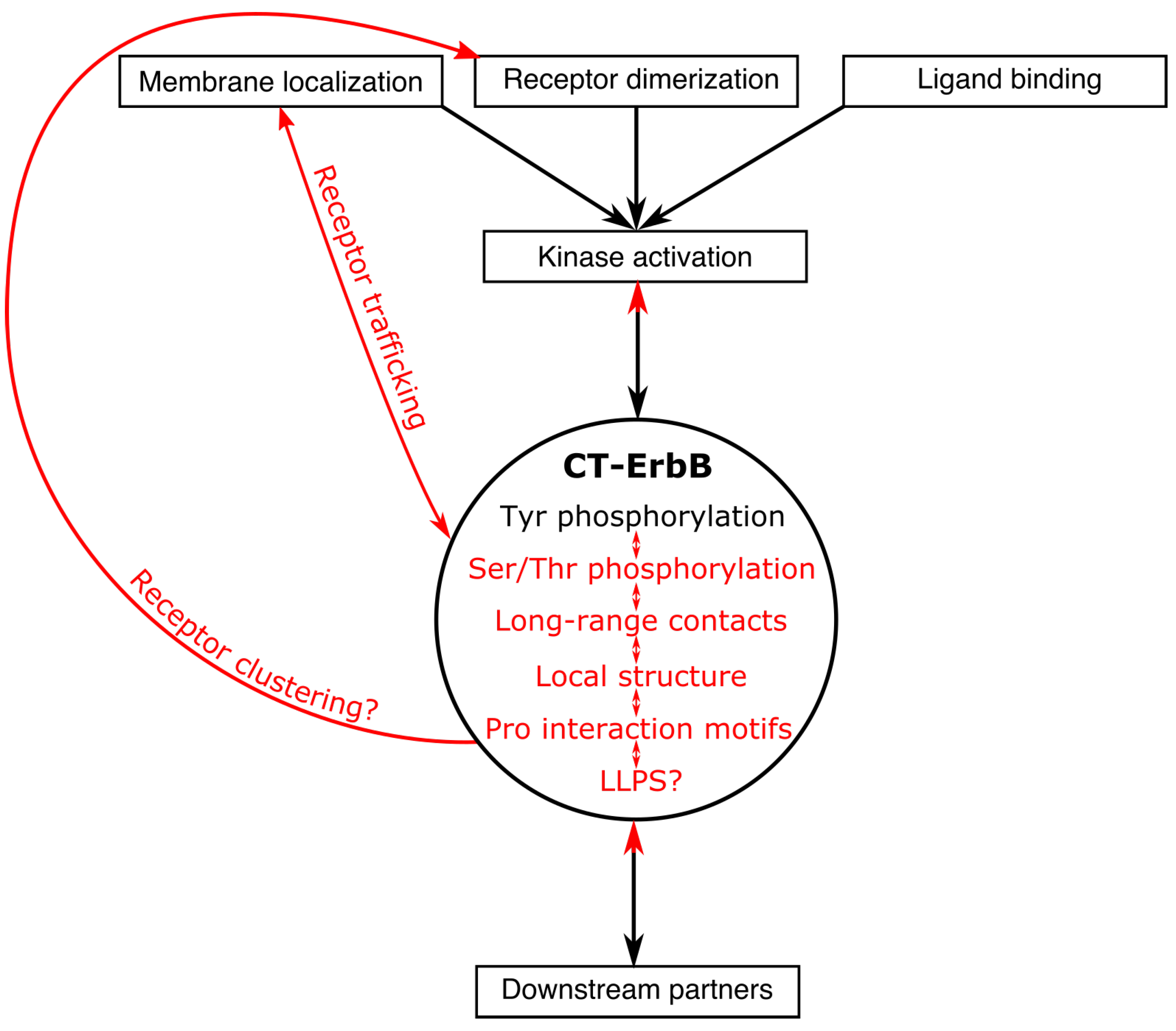 Biomolecules 11 01690 g005