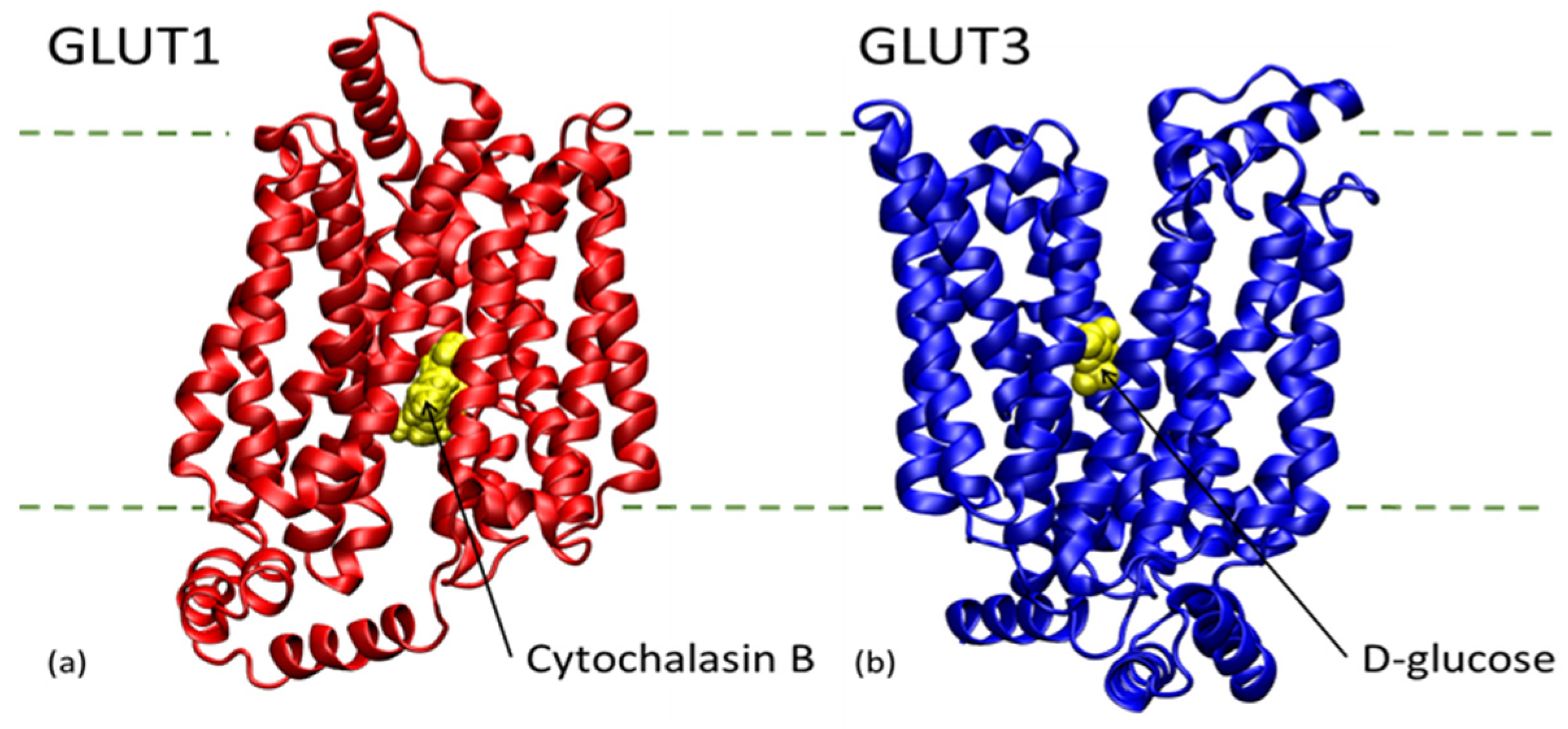 Biomolecules 11 01692 g002