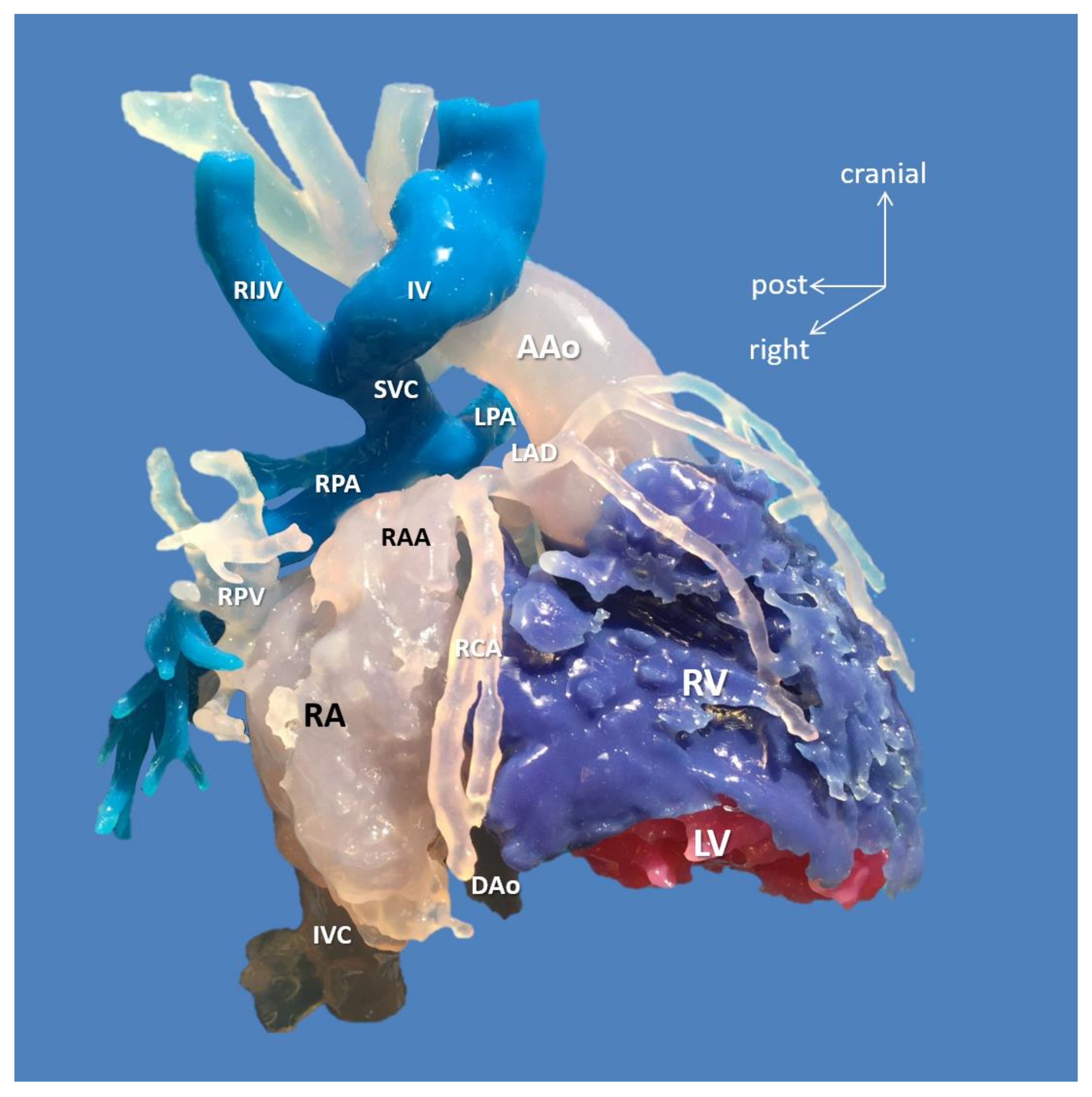 Biomolecules 11 01703 g003