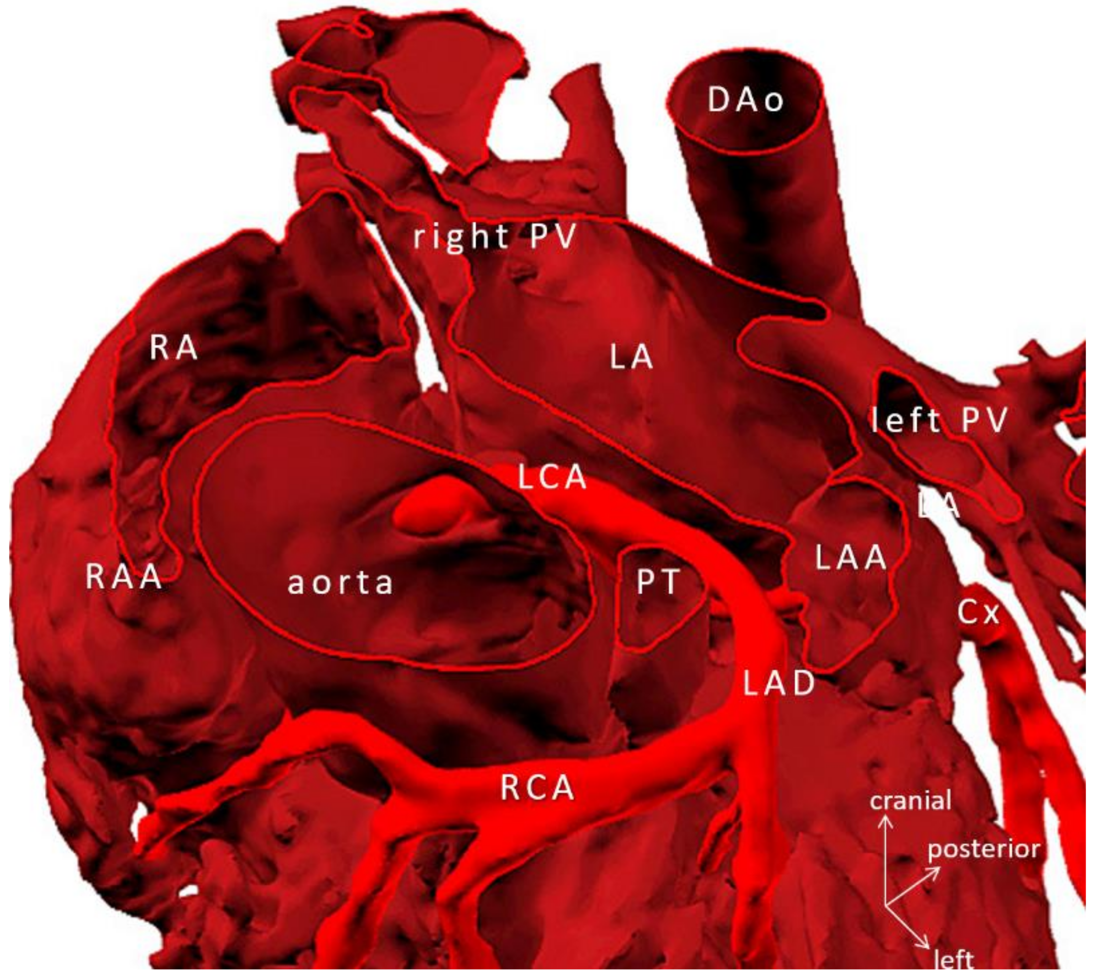 Biomolecules 11 01703 g006