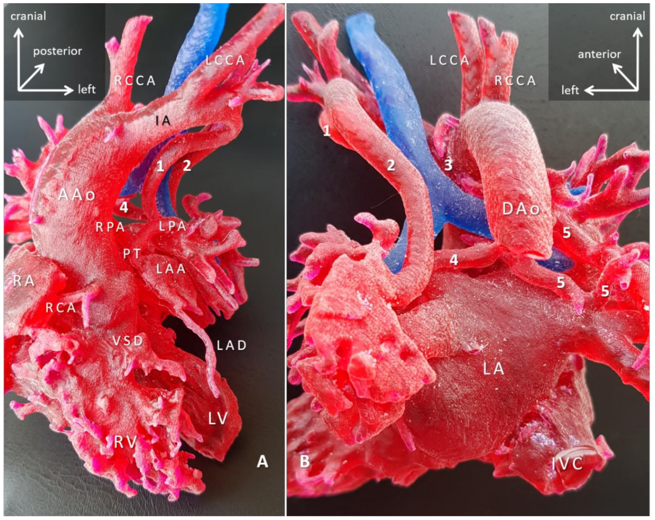 Biomolecules 11 01703 g007