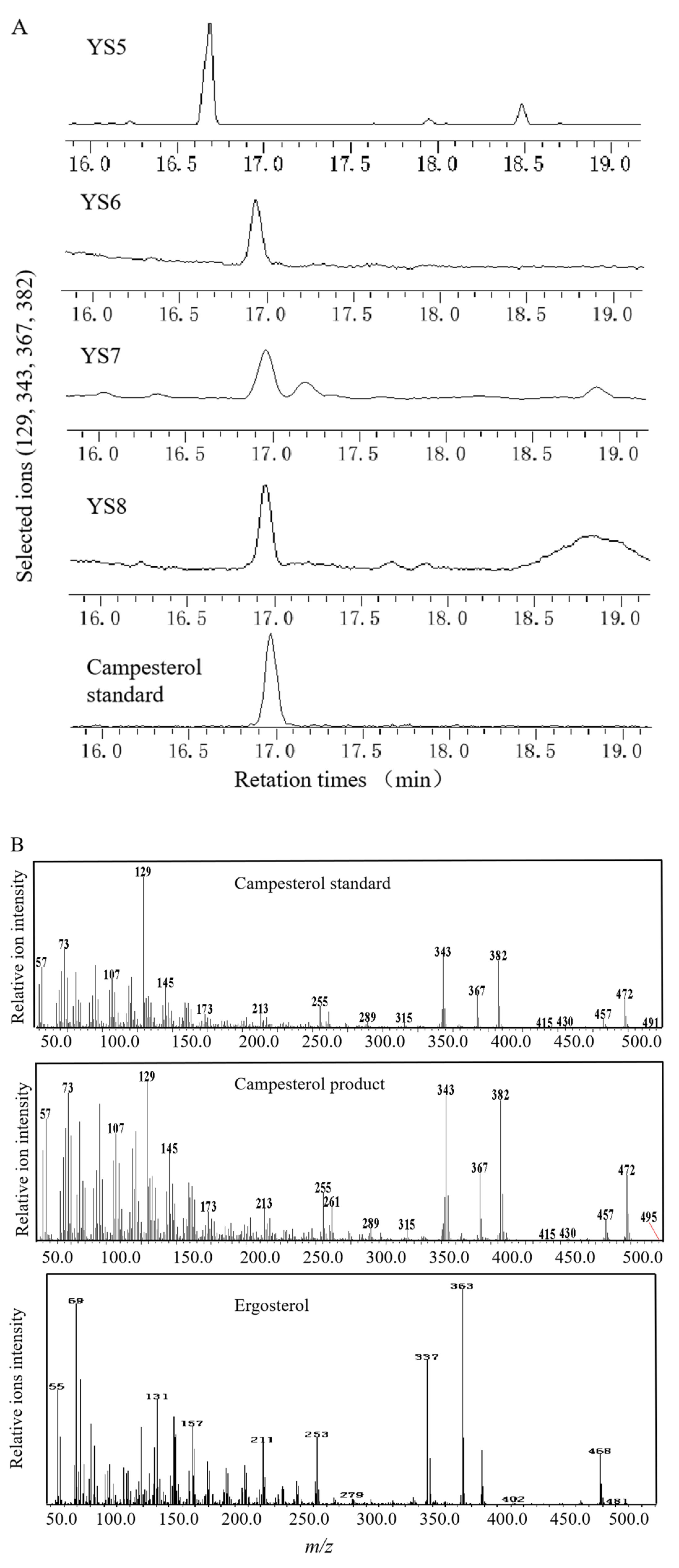 Biomolecules 11 01710 g003a