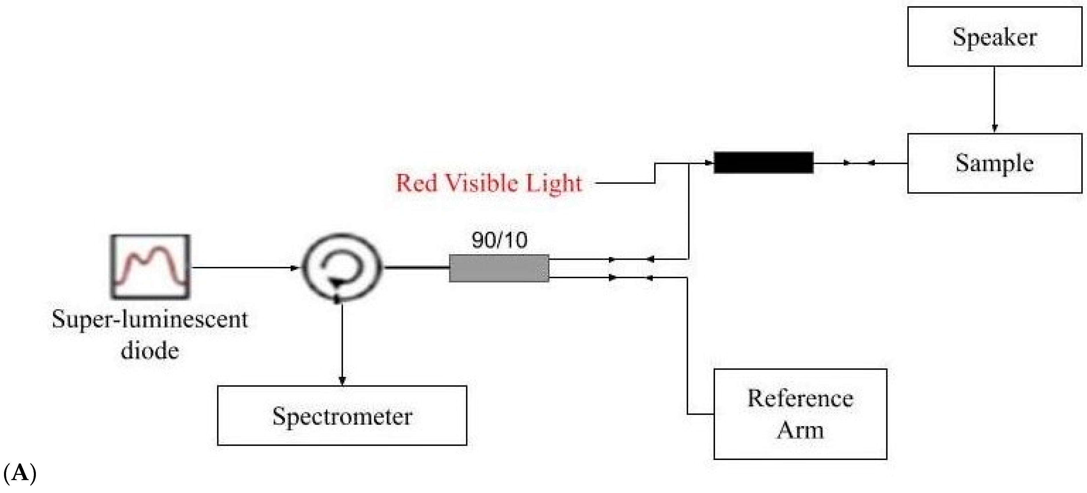Biomolecules 11 01712 g001a