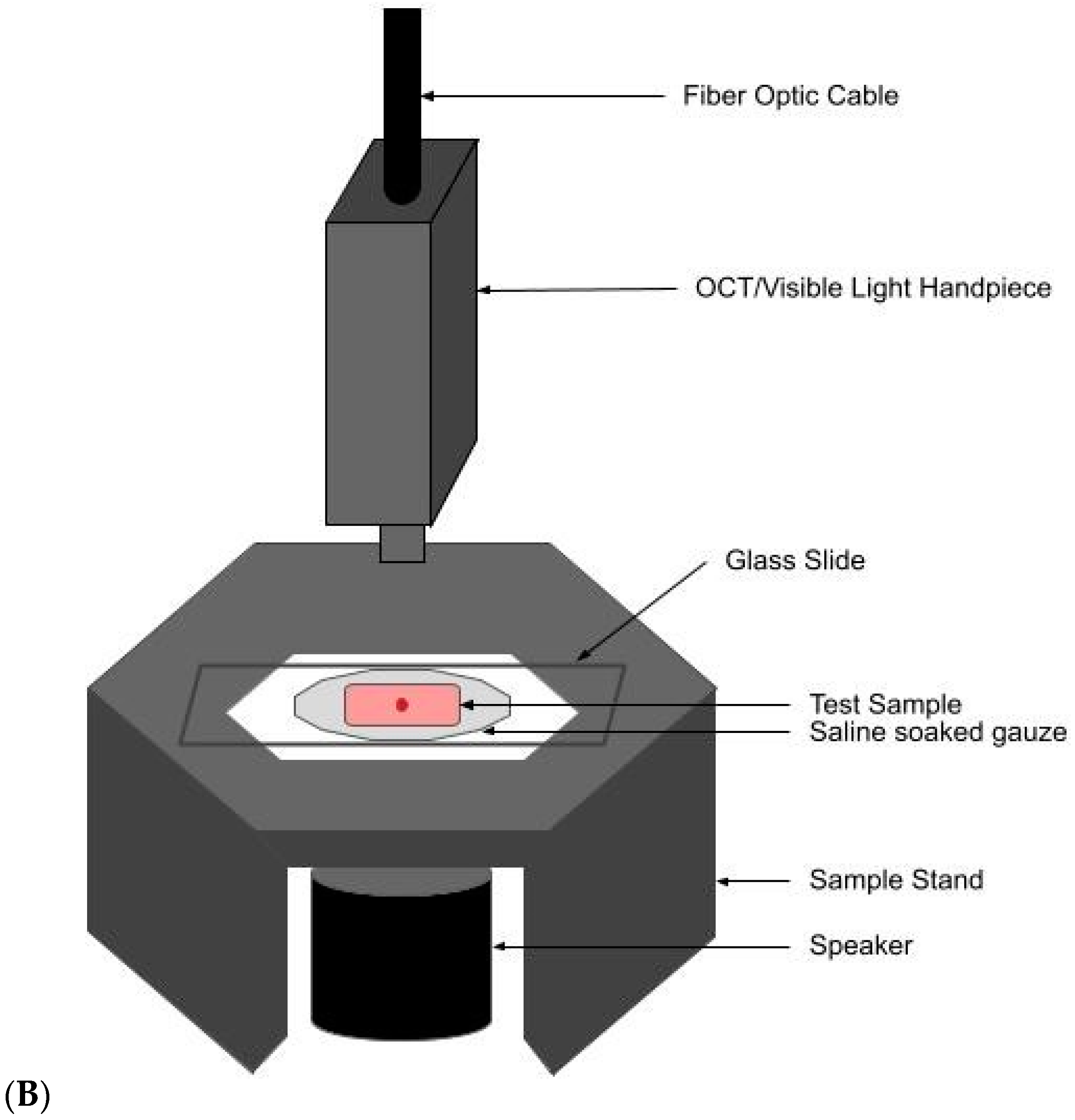 Biomolecules 11 01712 g001b