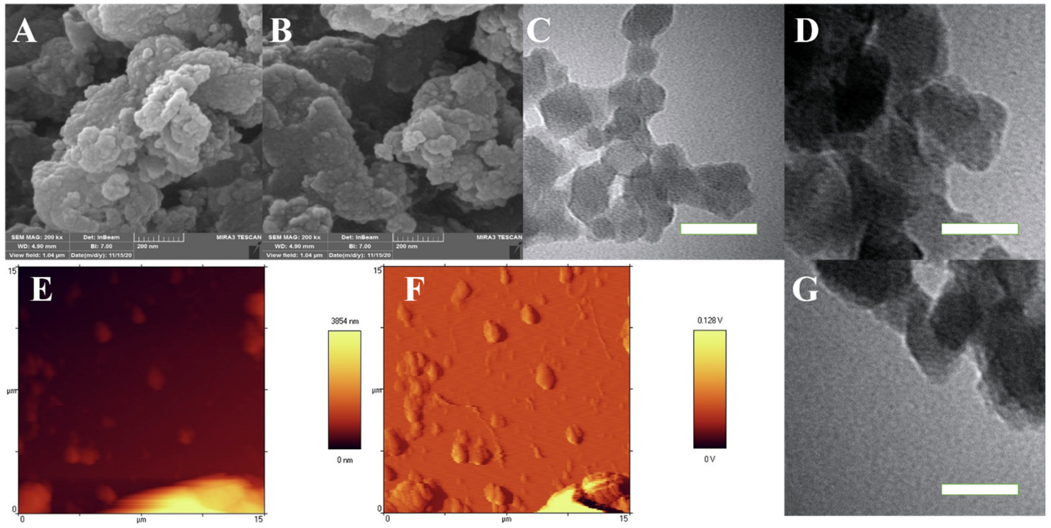 Biomolecules 11 01714 g002