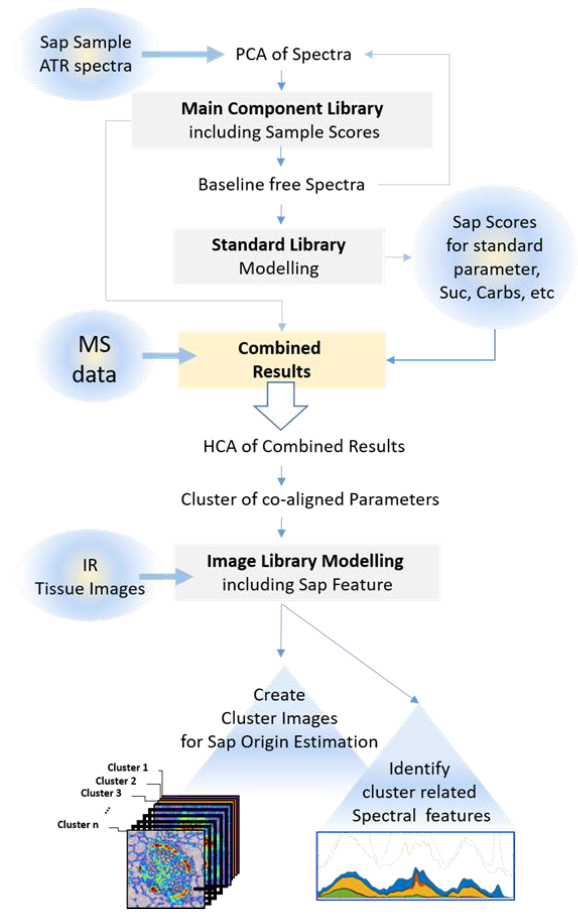 Biomolecules 11 01717 g002 Biomolecules 11 01717 g002