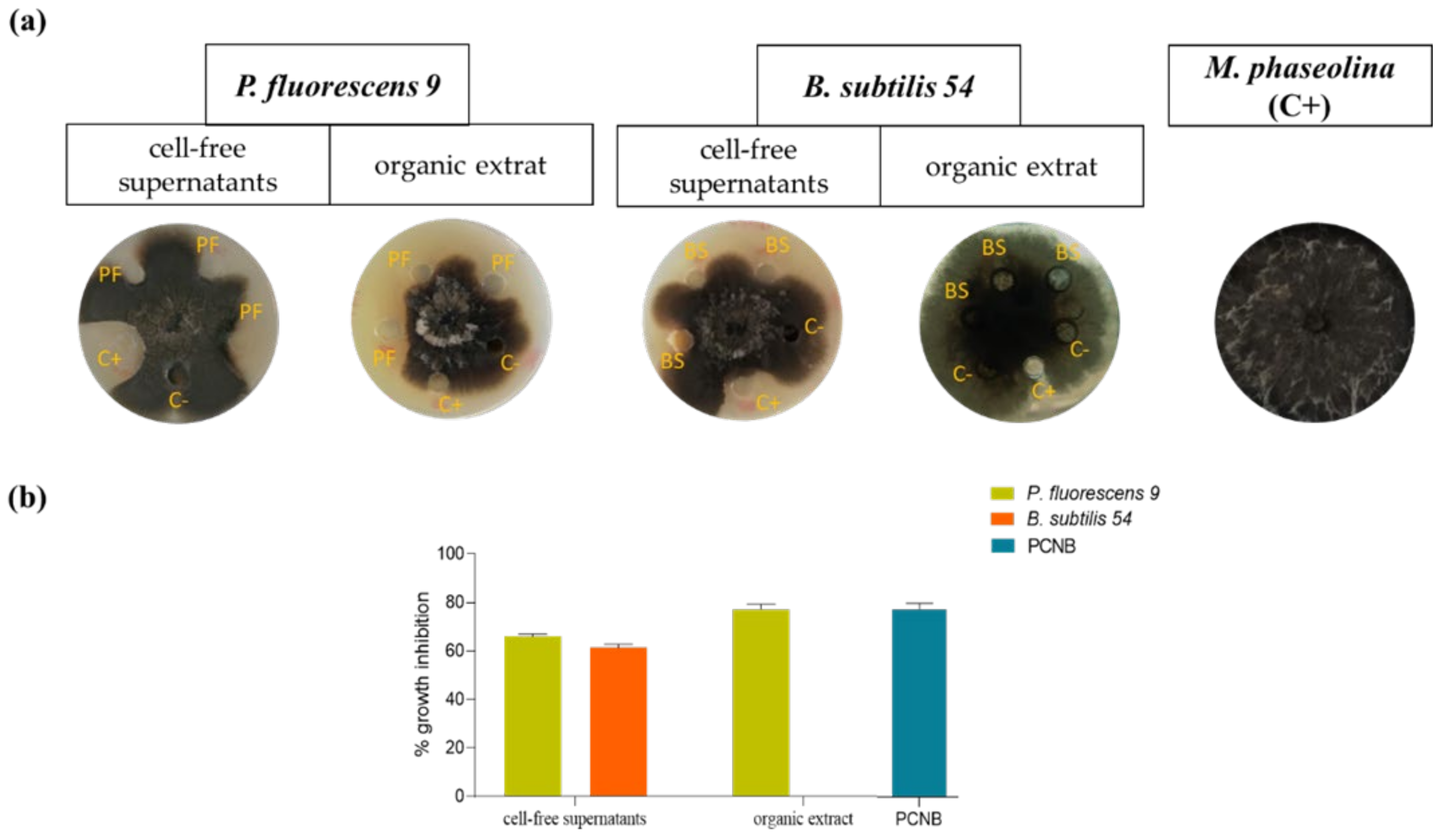 Biomolecules 11 01728 g001 Biomolecules 11 01728 g001