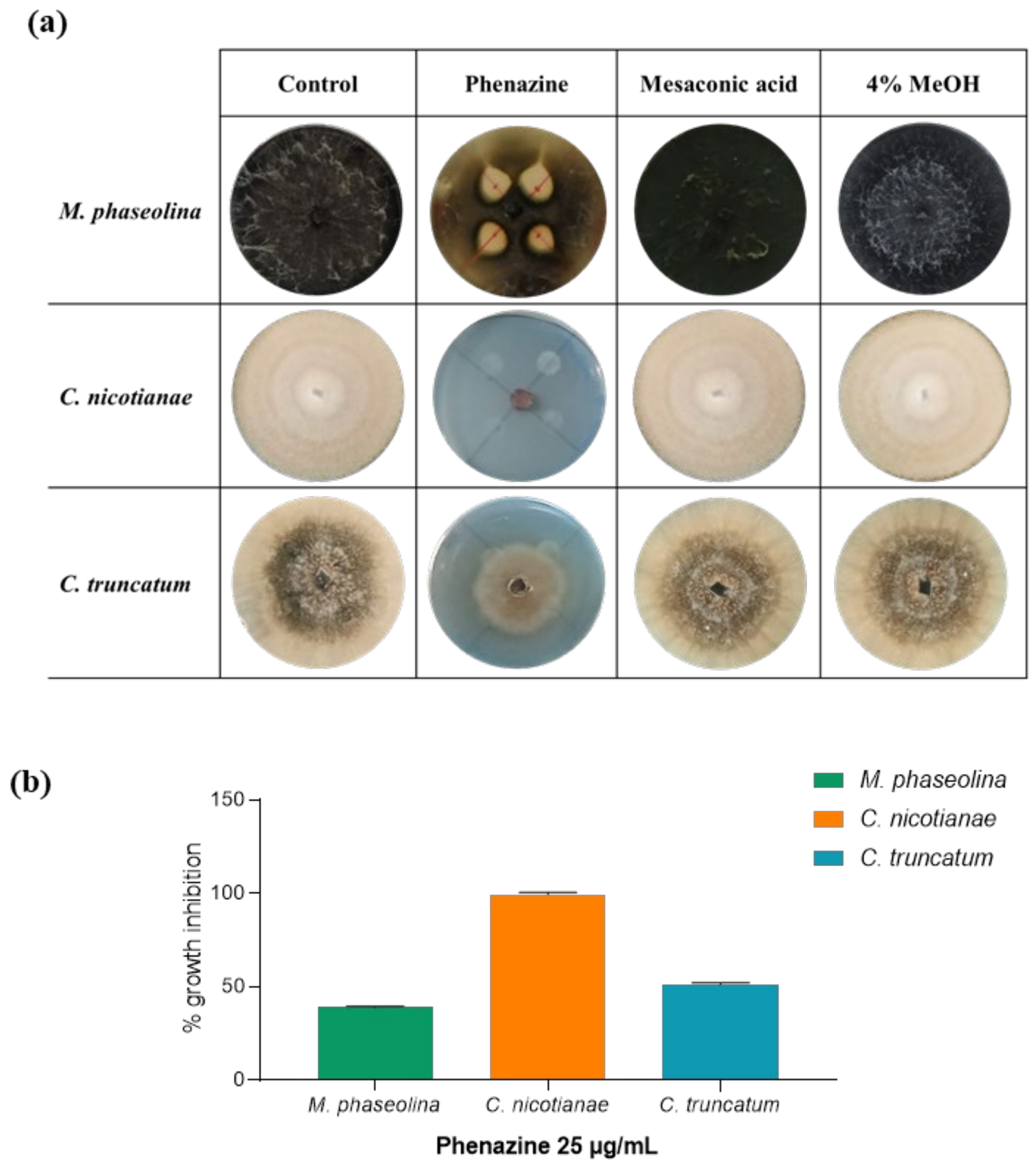 Biomolecules 11 01728 g006 Biomolecules 11 01728 g006