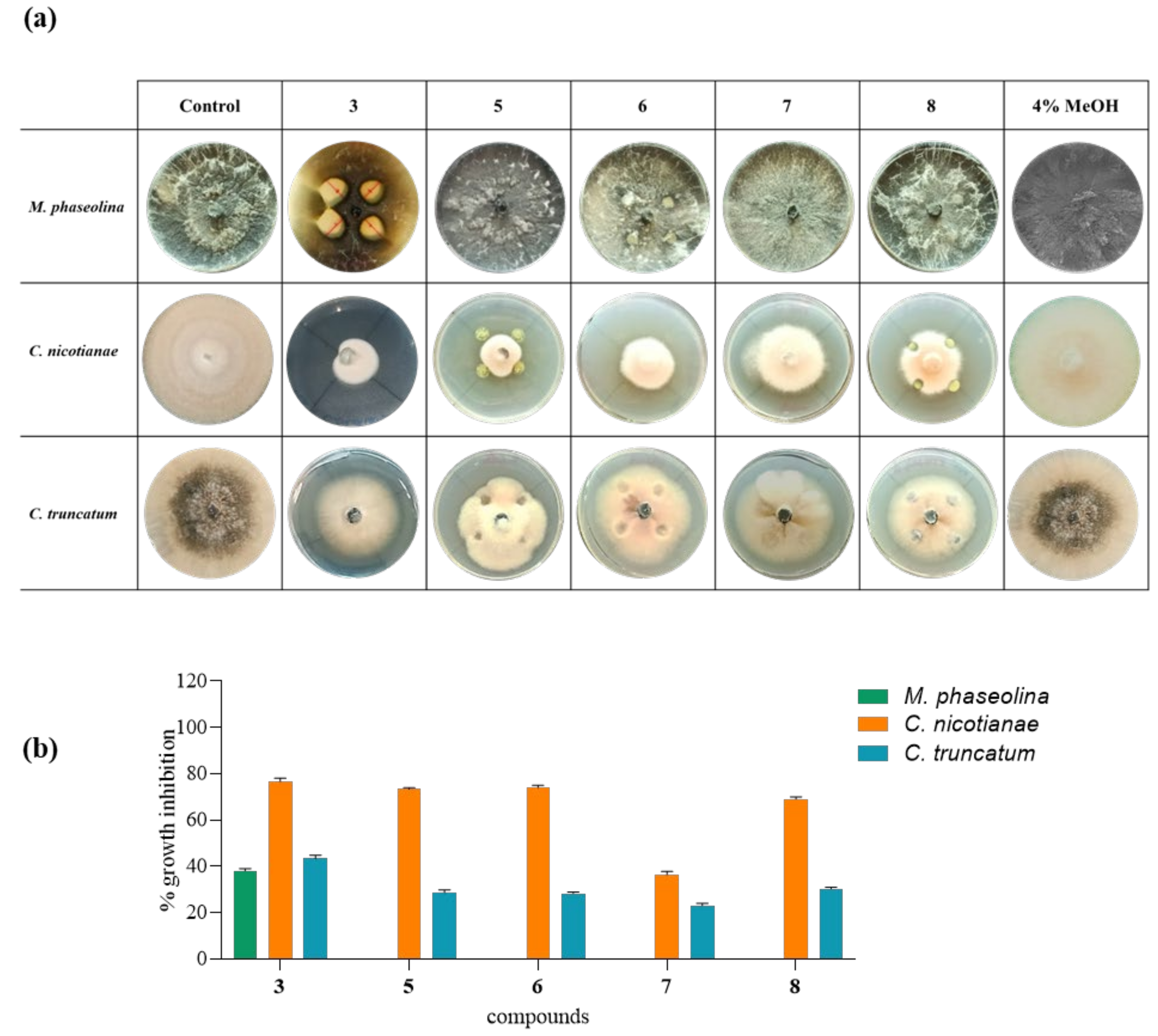 Biomolecules 11 01728 g007 Biomolecules 11 01728 g007