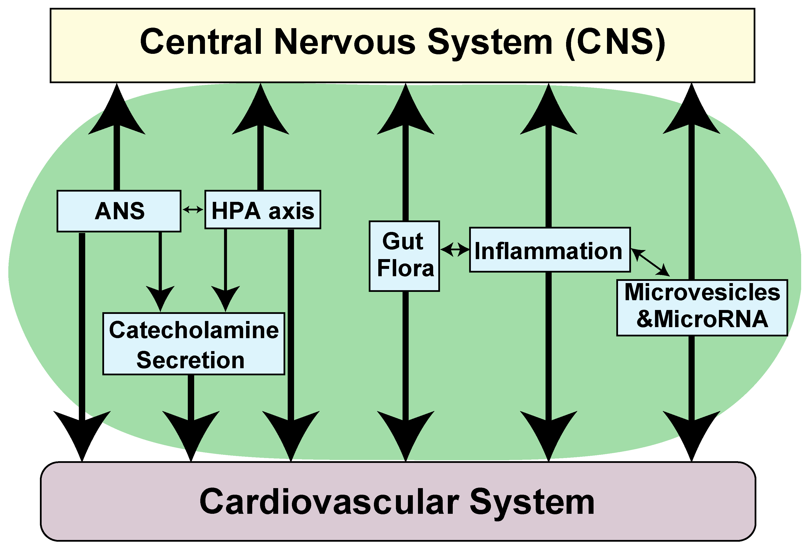 Biomolecules 11 01730 g001