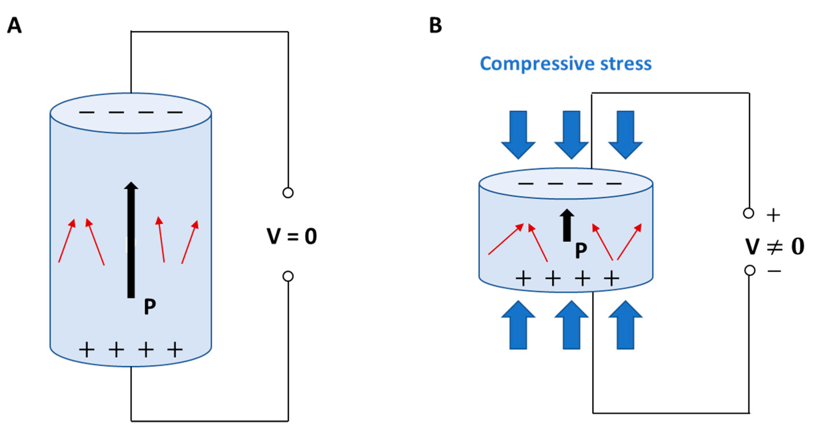 Biomolecules 11 01731 g001