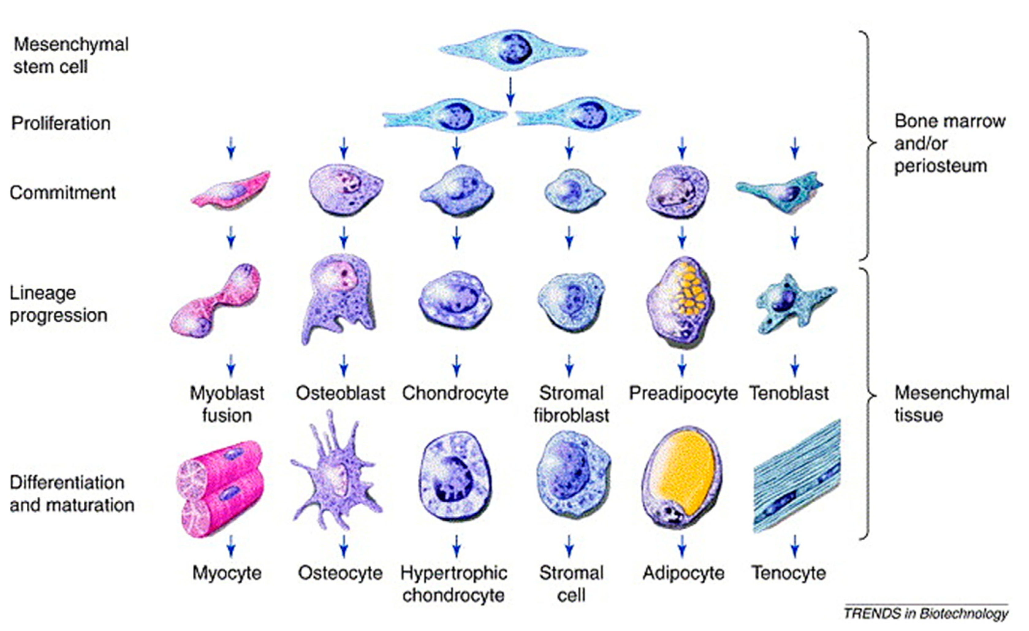 Biomolecules 11 01731 g005