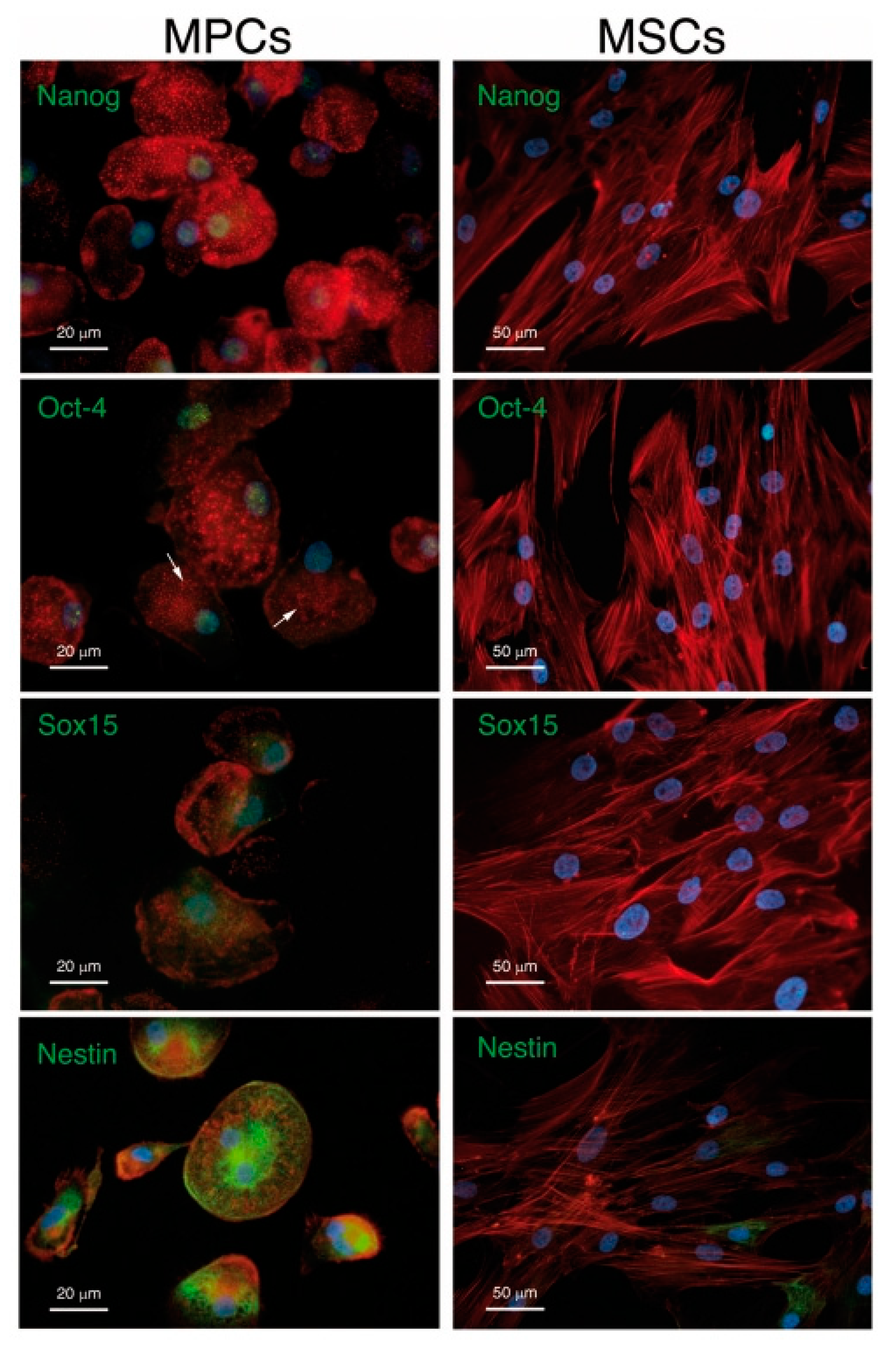 Biomolecules 11 01731 g007